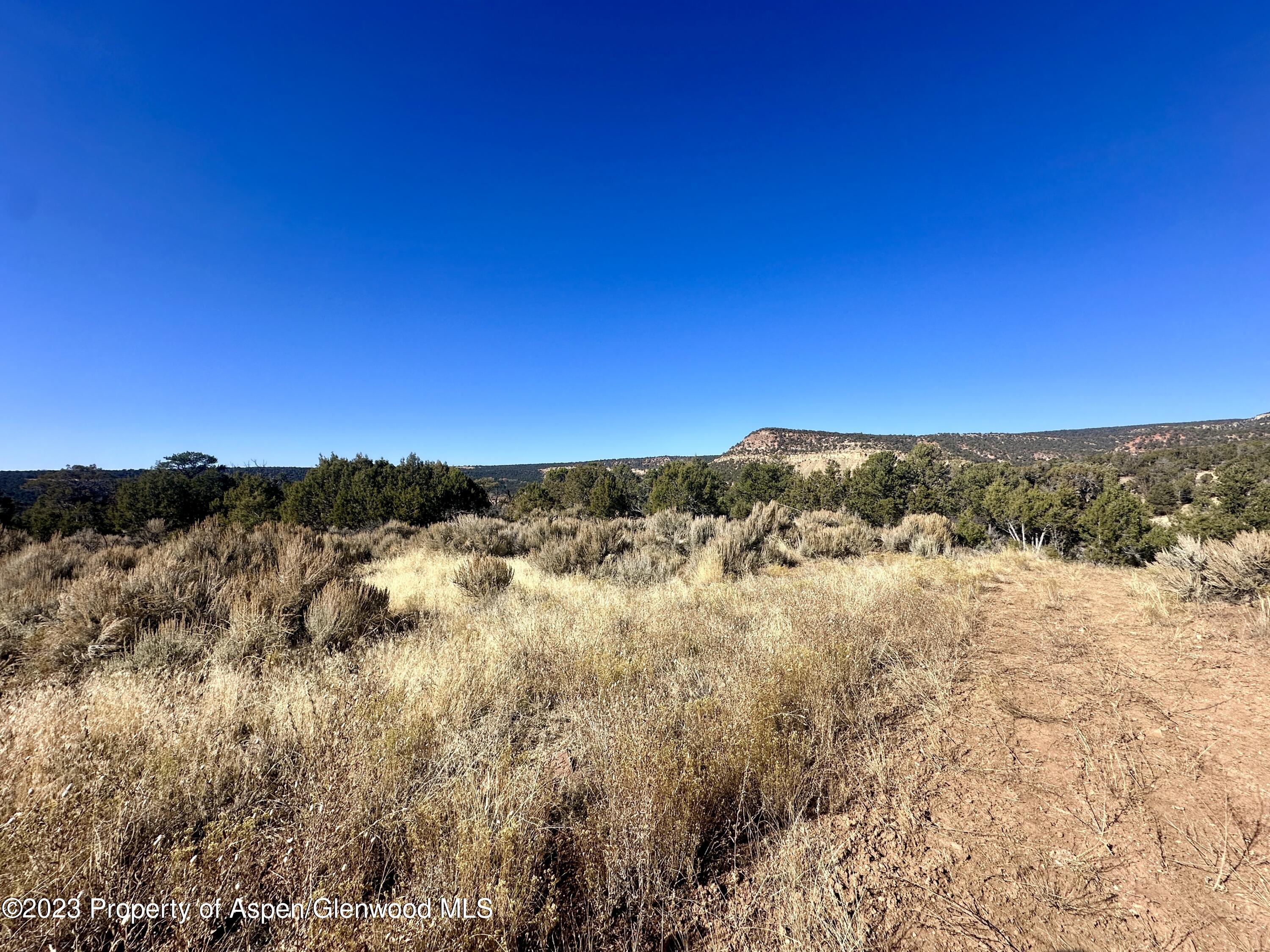 Tbd Cactus Park Road Property Photo 8