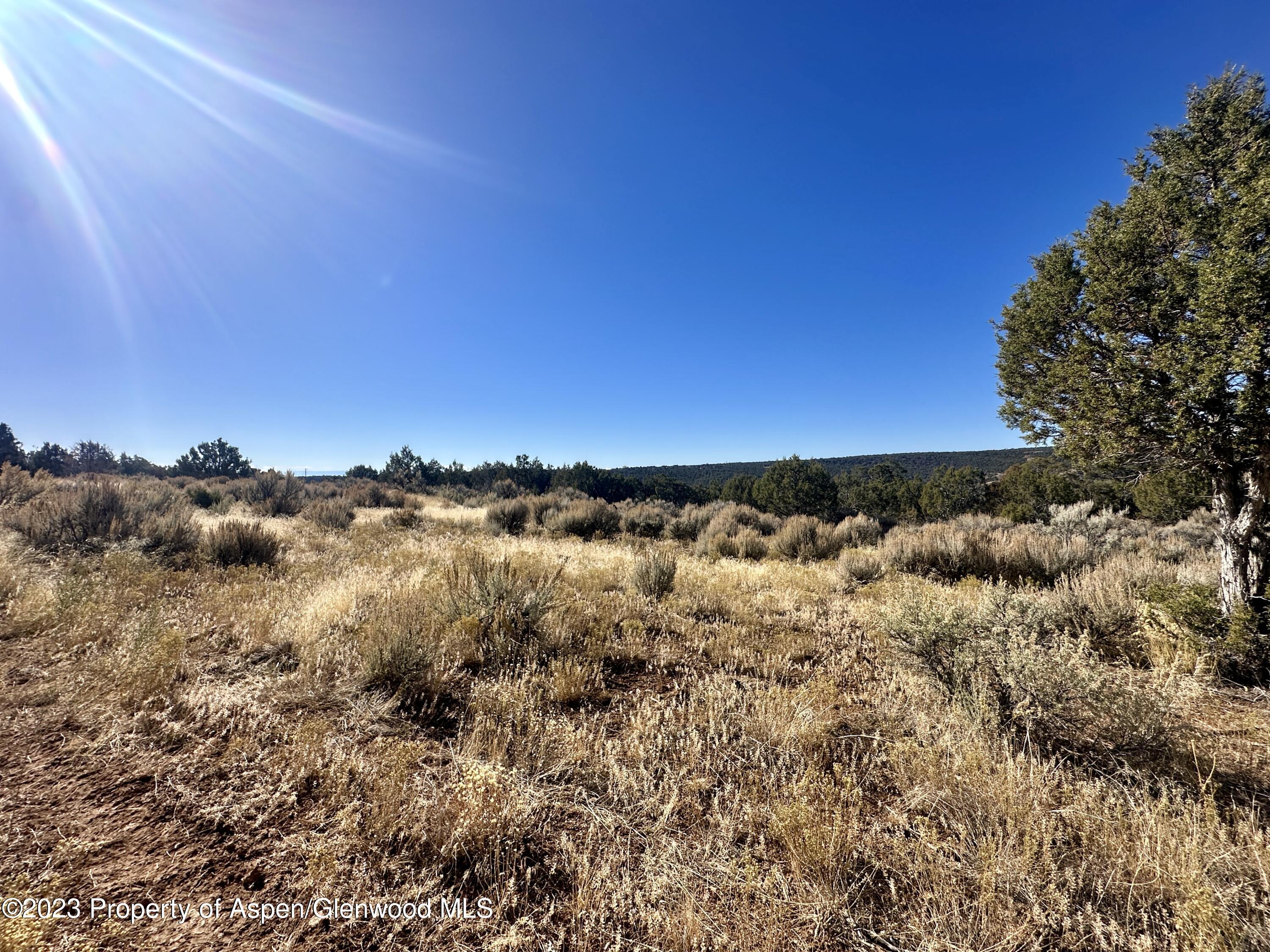 Tbd Cactus Park Road Property Photo 9