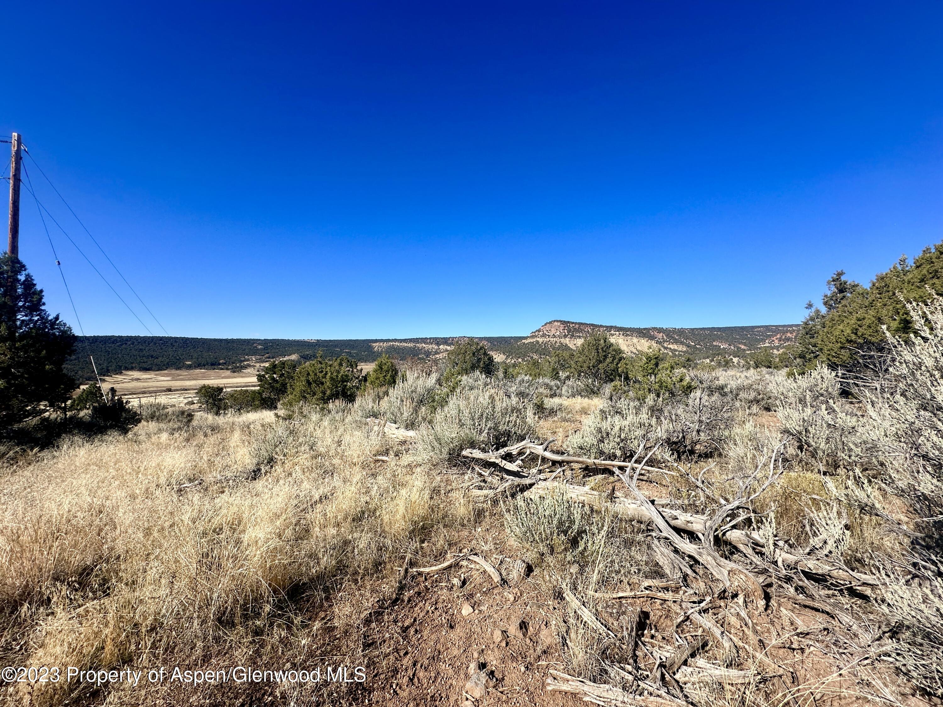 Tbd Cactus Park Road Property Photo 10