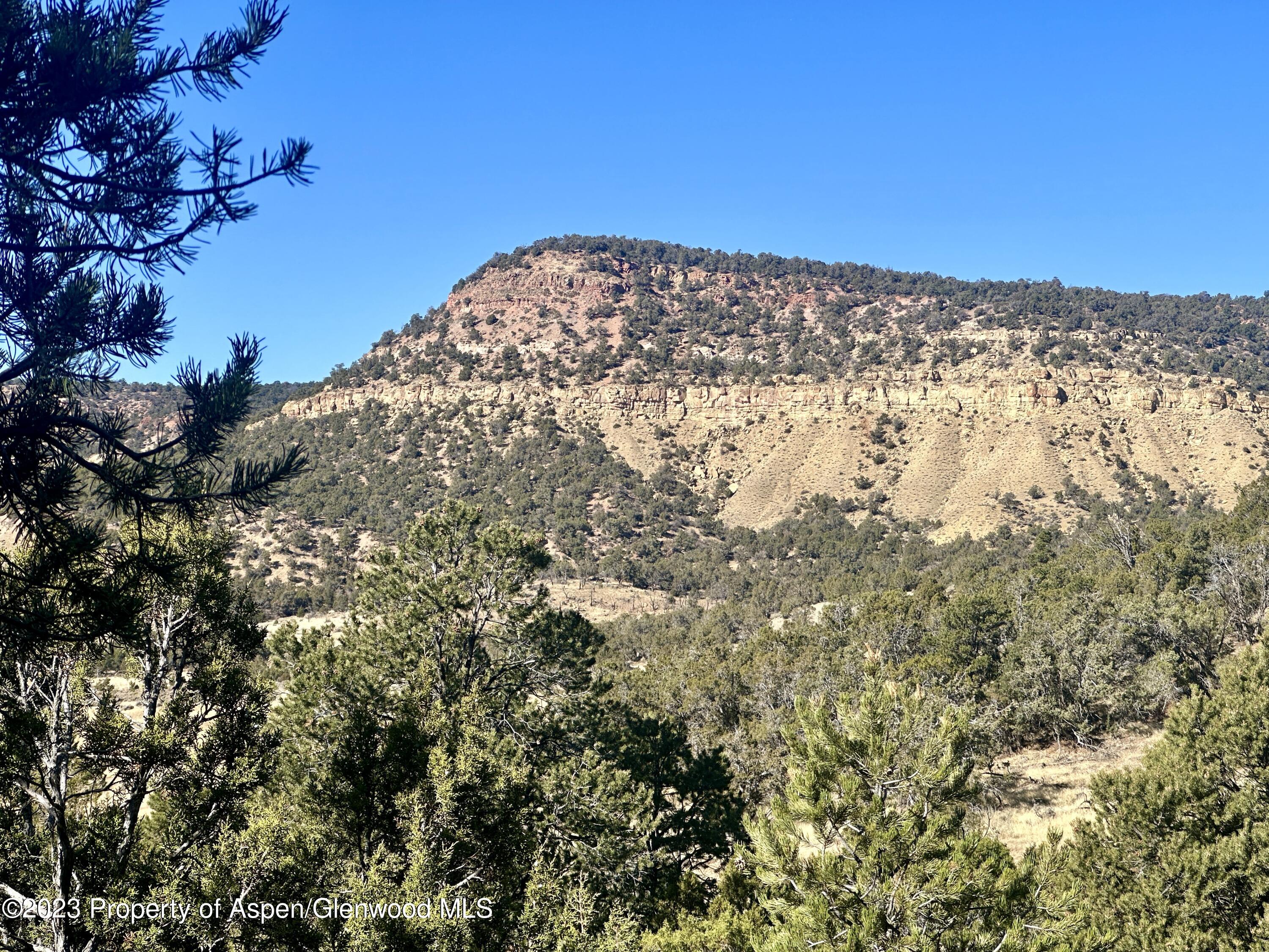 Tbd Cactus Park Road Property Photo 11