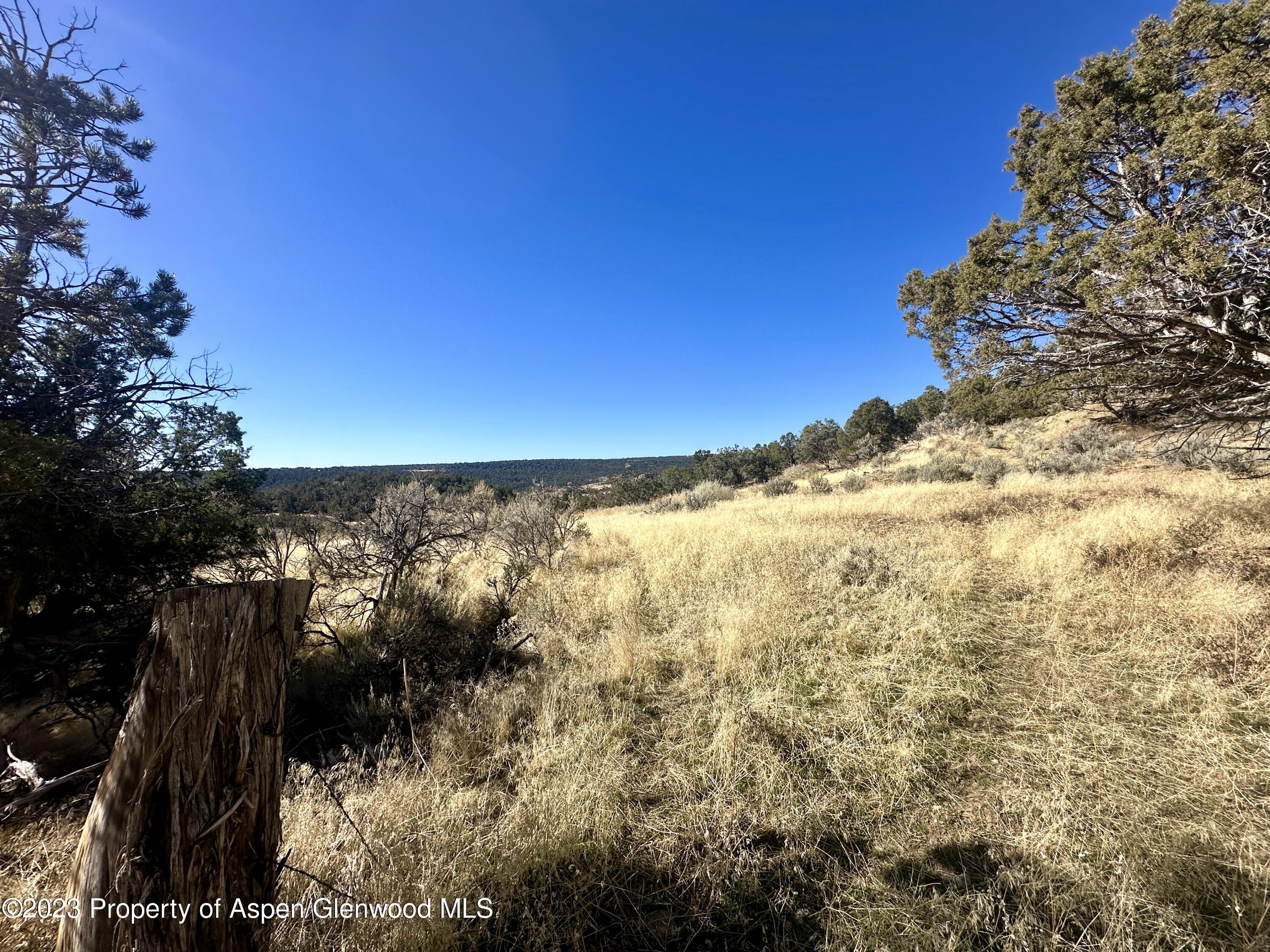 Tbd Cactus Park Road Property Photo 12