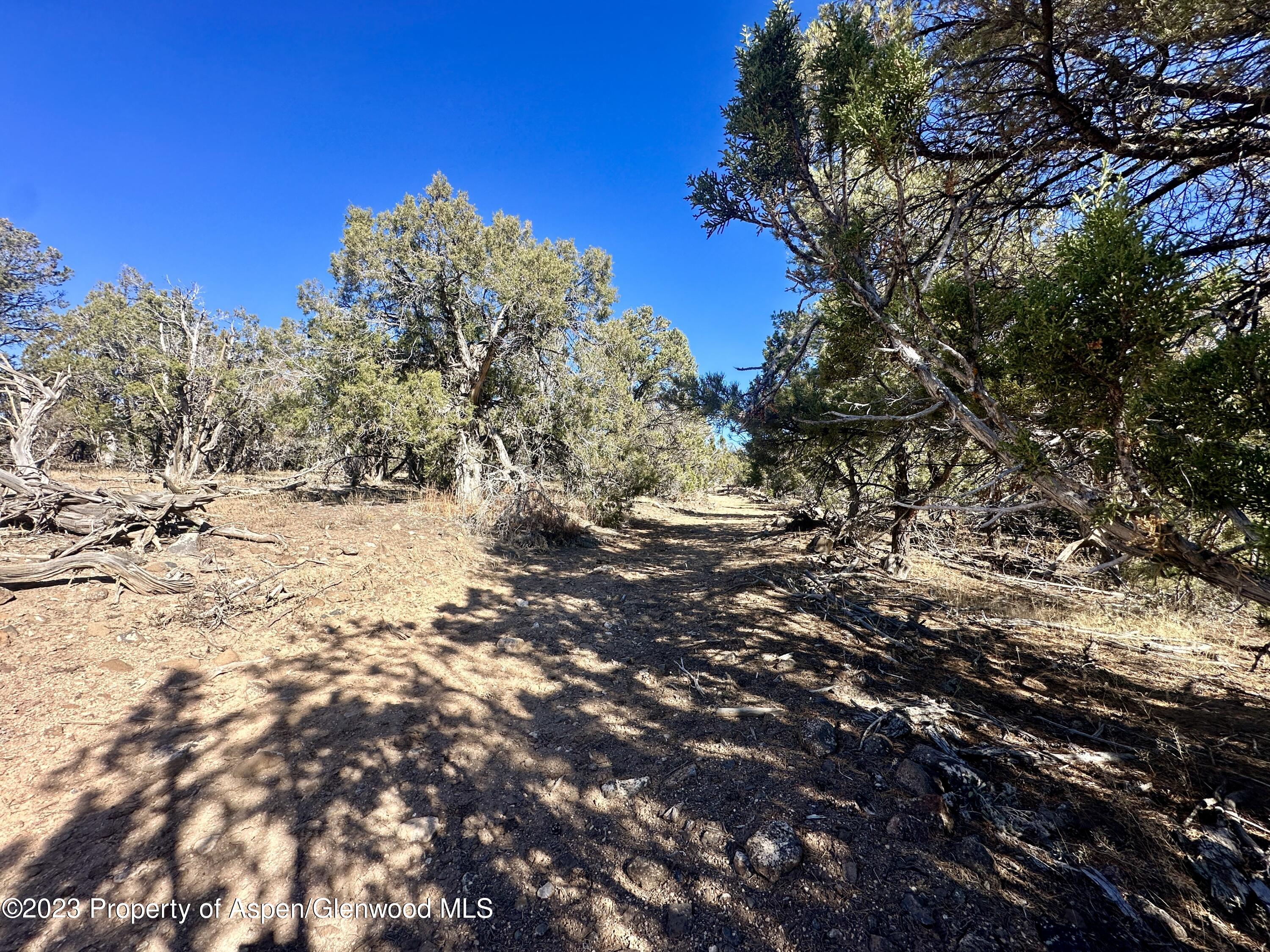 Tbd Cactus Park Road Property Photo 13