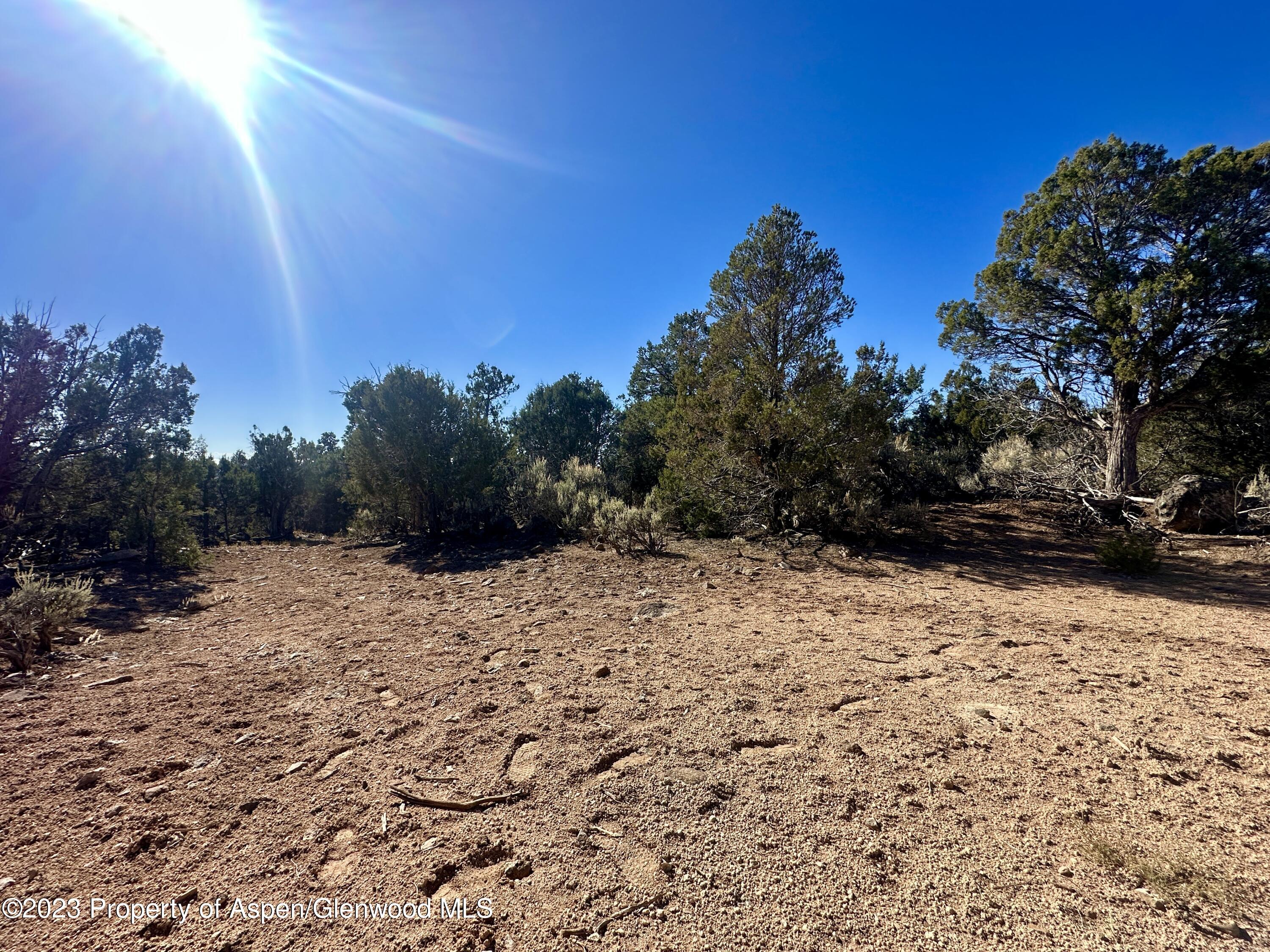 Tbd Cactus Park Road Property Photo 14