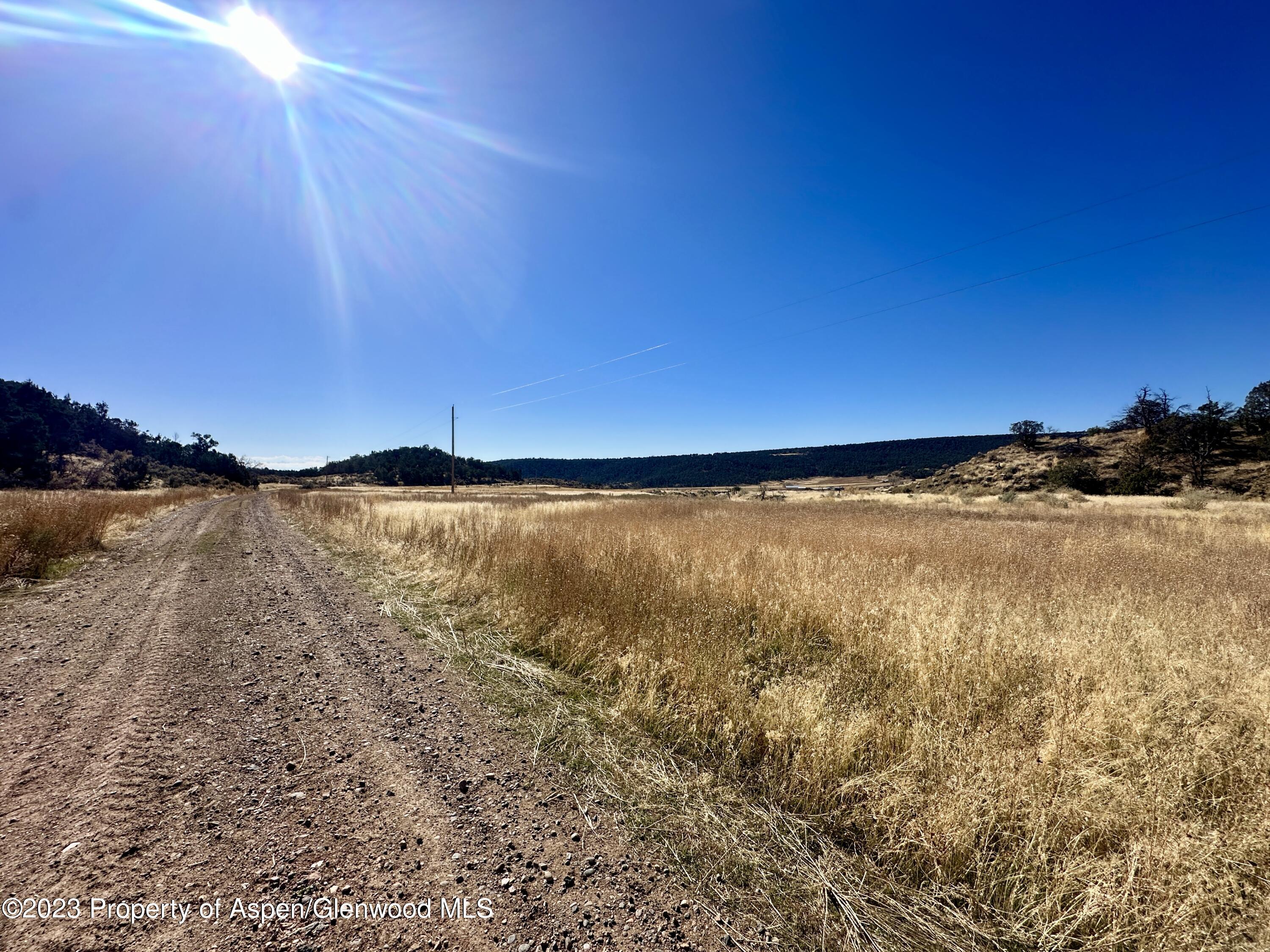 Tbd Cactus Park Road Property Photo 15