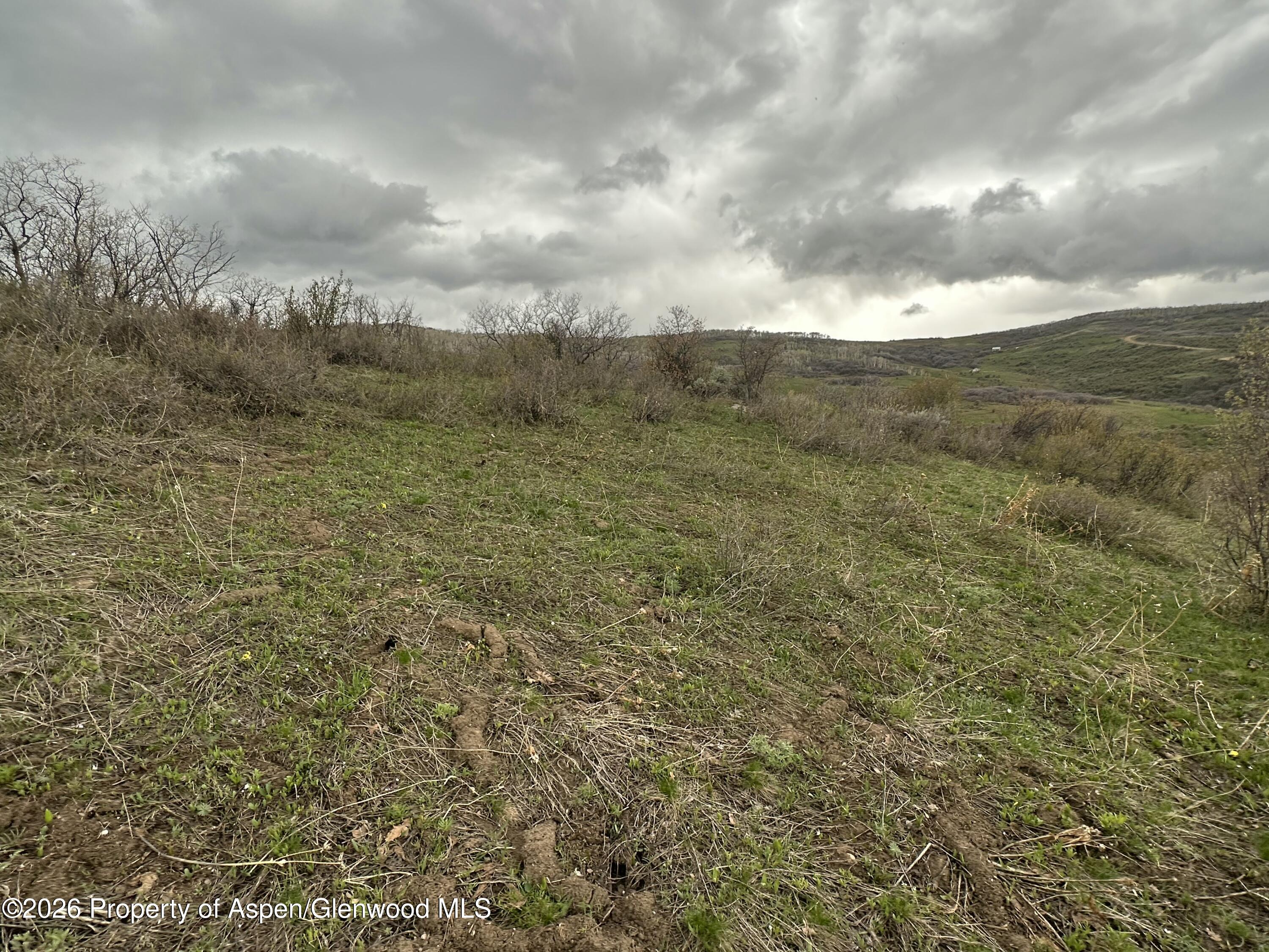 3511 Timberlane Drive Property Photo 4