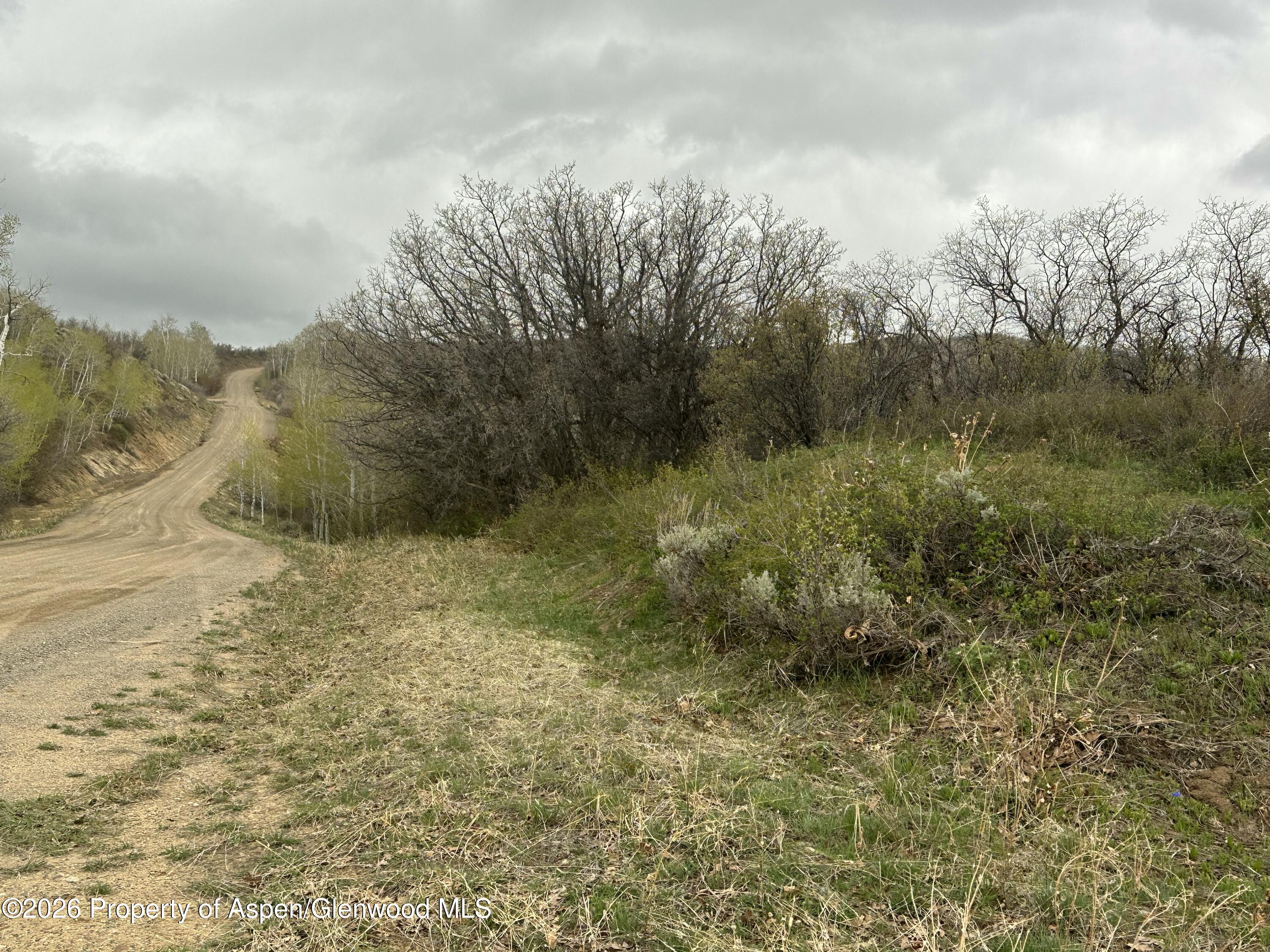 3511 Timberlane Drive Property Photo 10