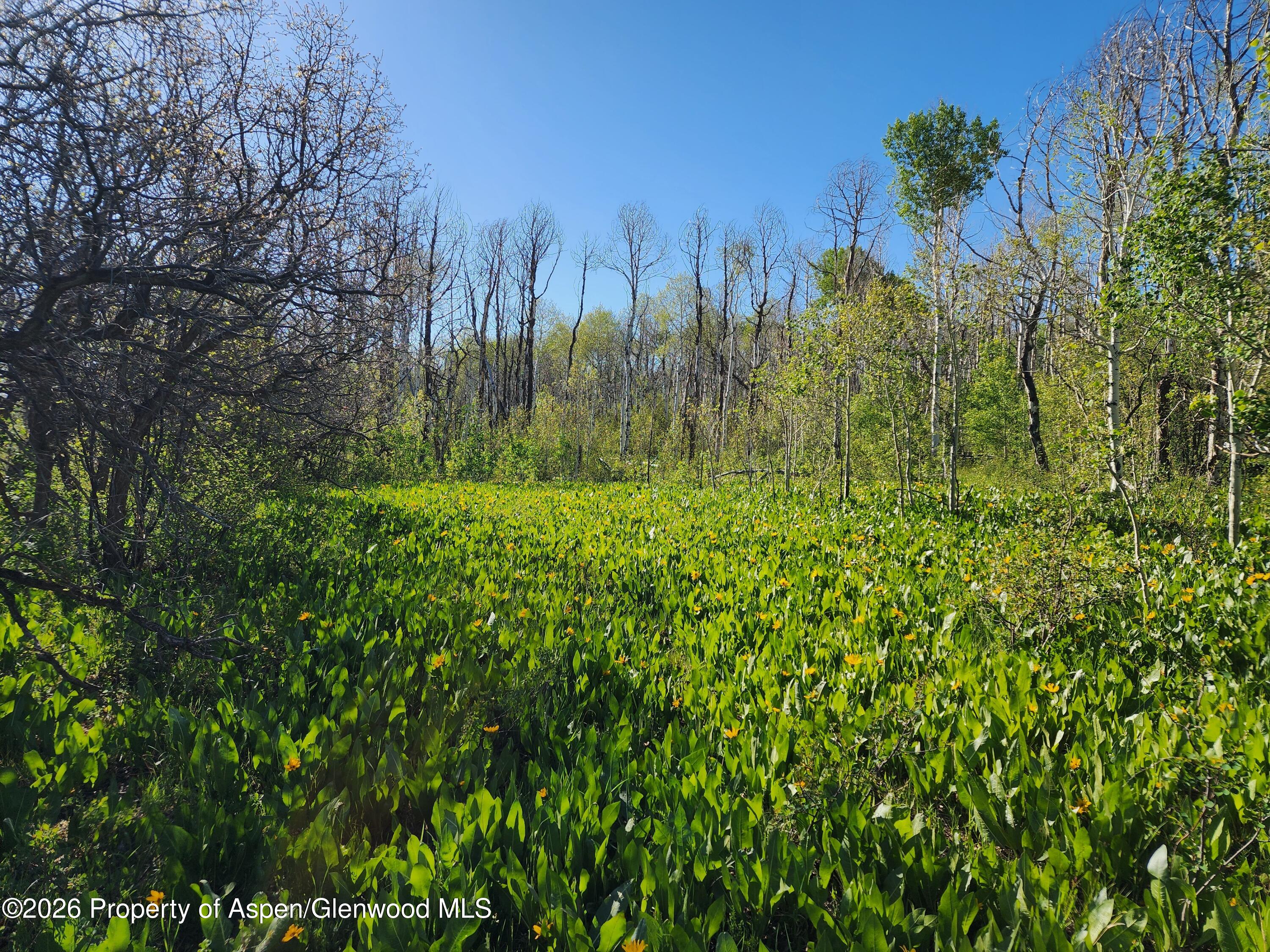 234 Tananger Lane Property Photo 1