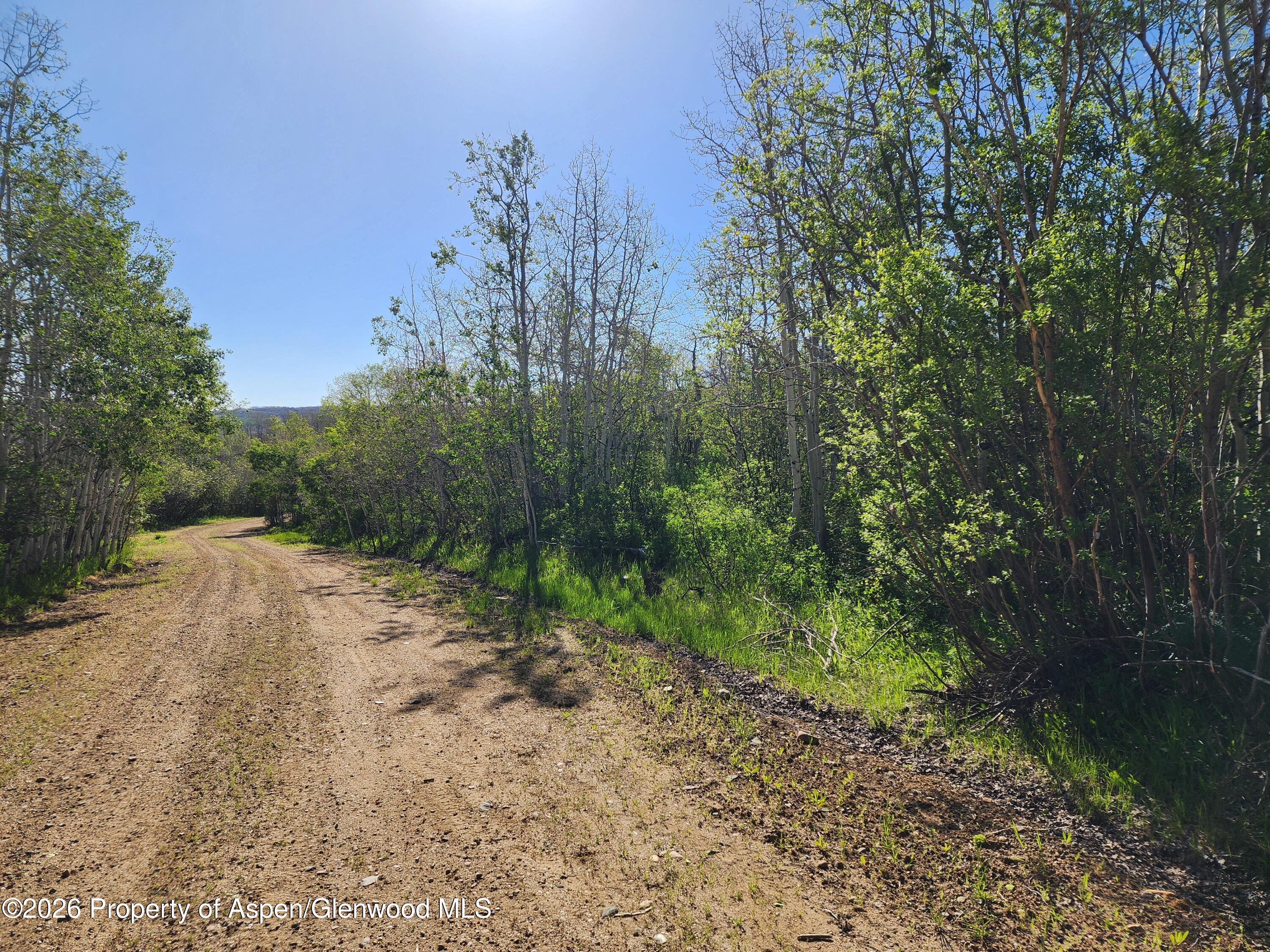 234 Tananger Lane Property Photo 3