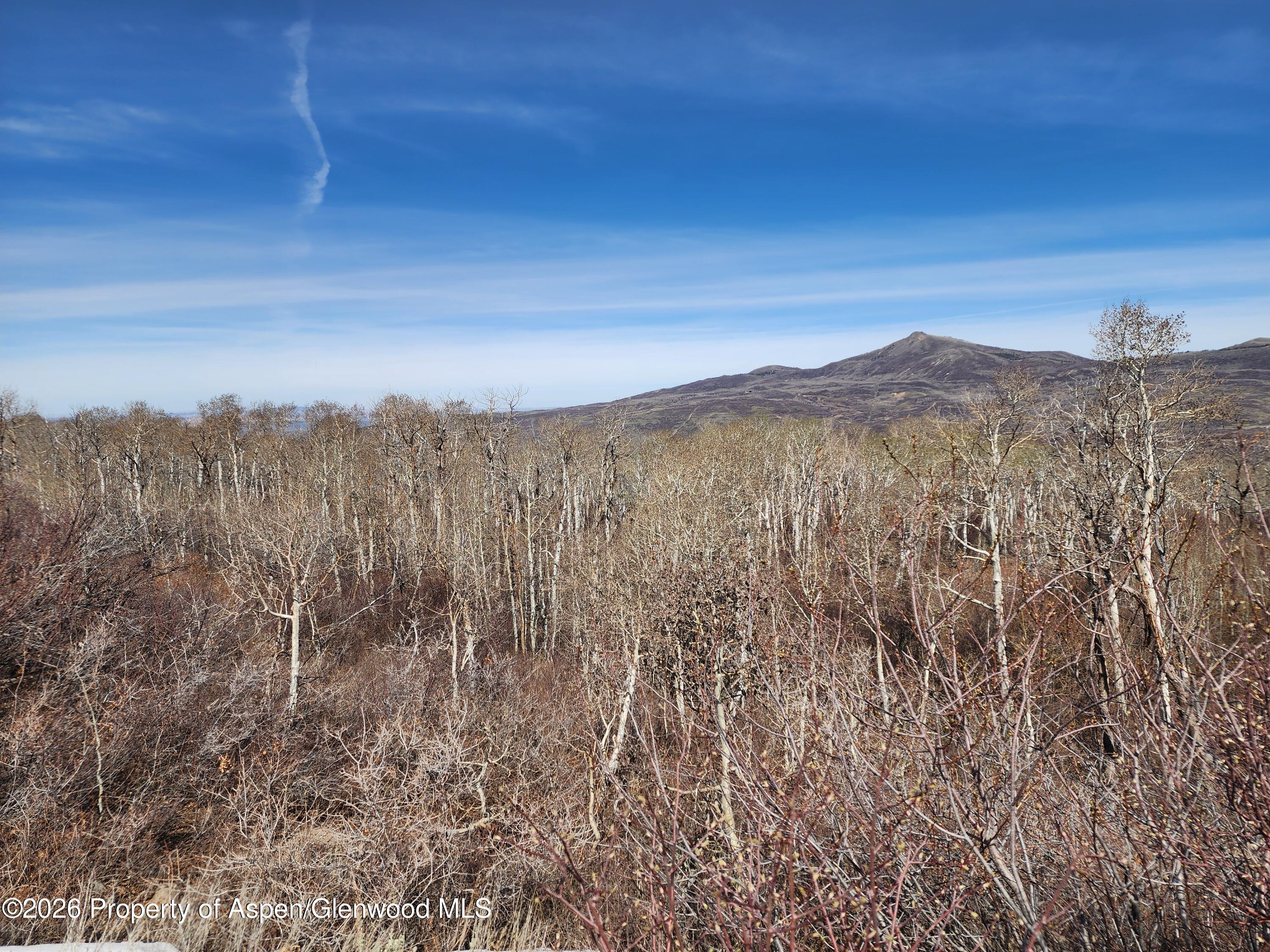 234 Tananger Lane Property Photo 8