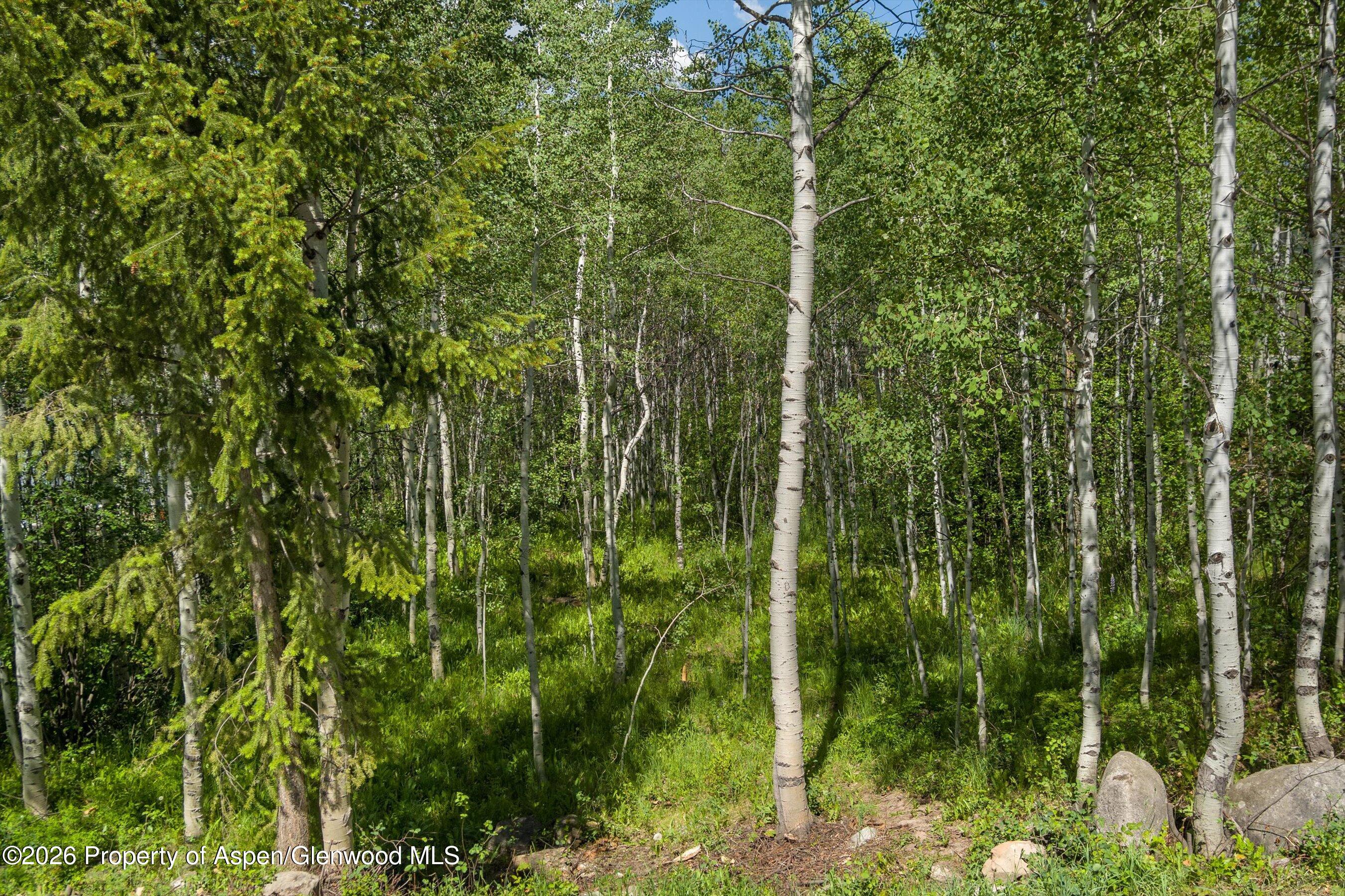 1265 Riverside Drive Property Photo 4
