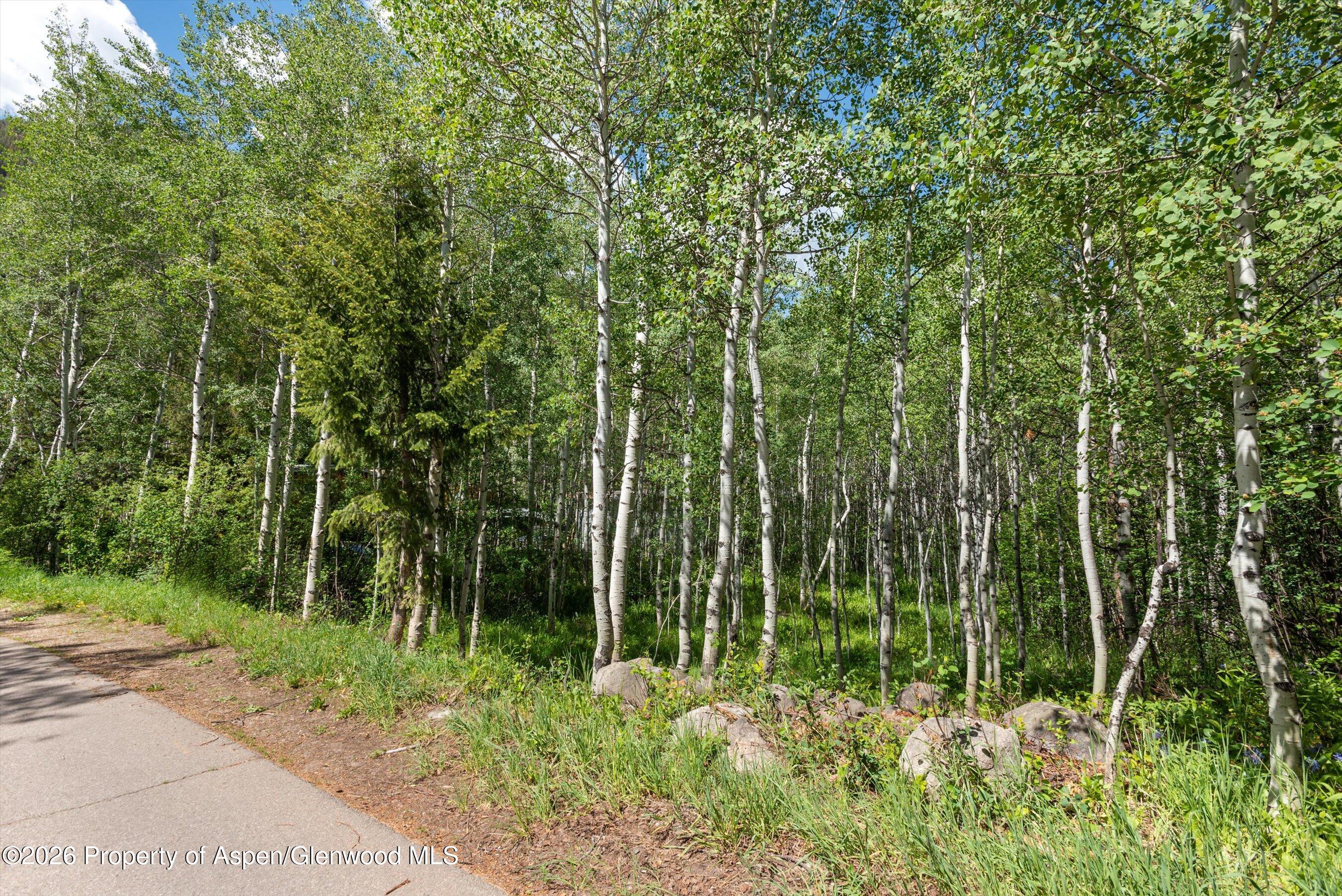 1265 Riverside Drive Property Photo 6