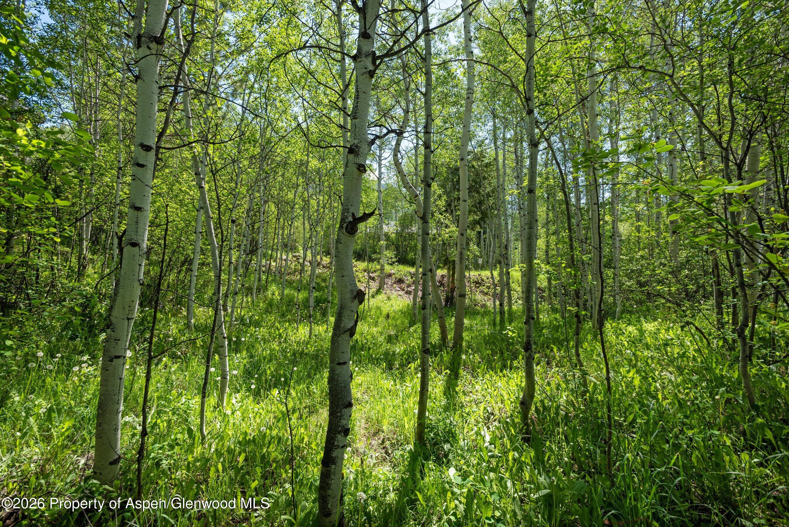 1265 Riverside Drive Property Photo 11