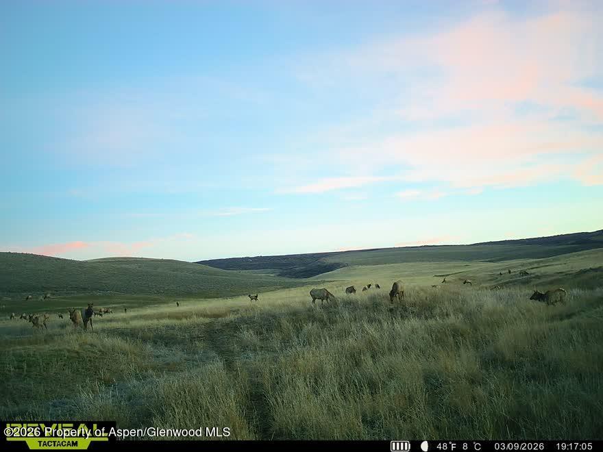 Tbd County Road 57 Property Photo 11