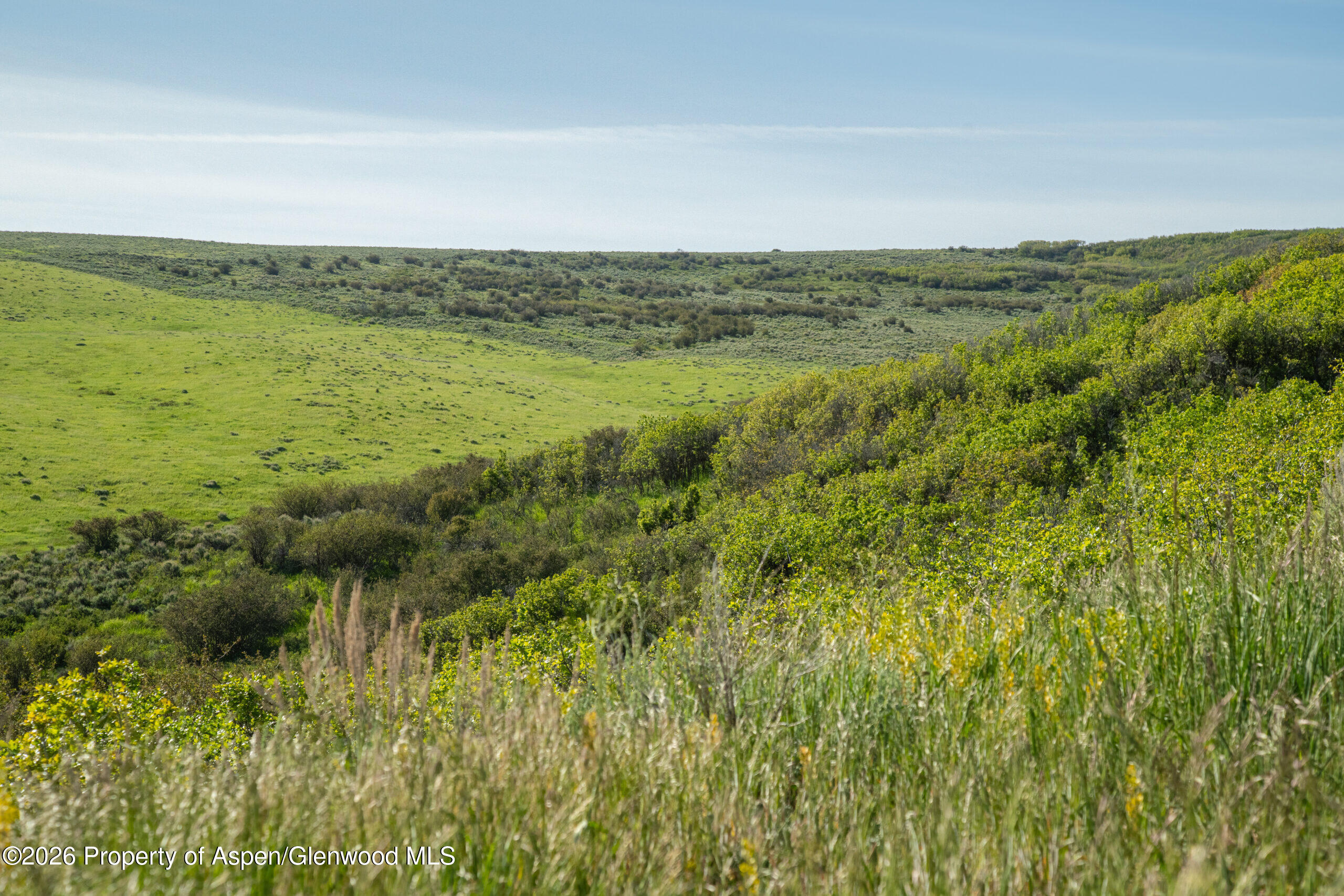 Tbd County Road 57 Property Photo 13