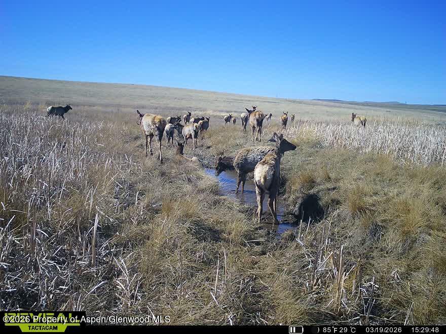 Tbd County Road 57 Property Photo 15