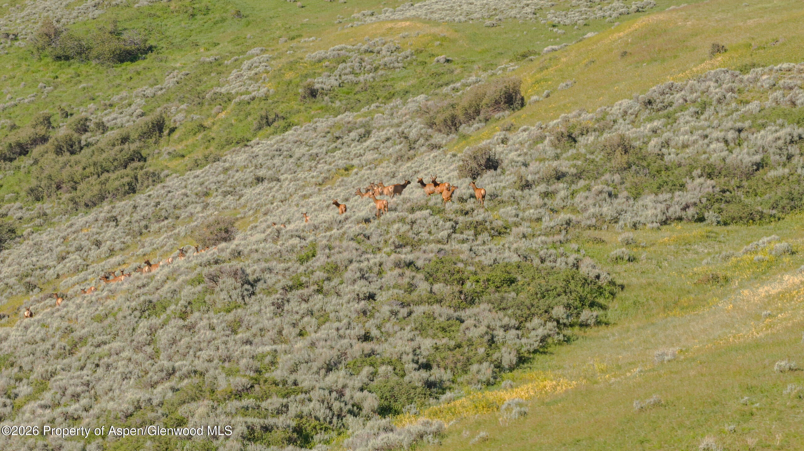 Tbd County Road 57 Property Photo 16