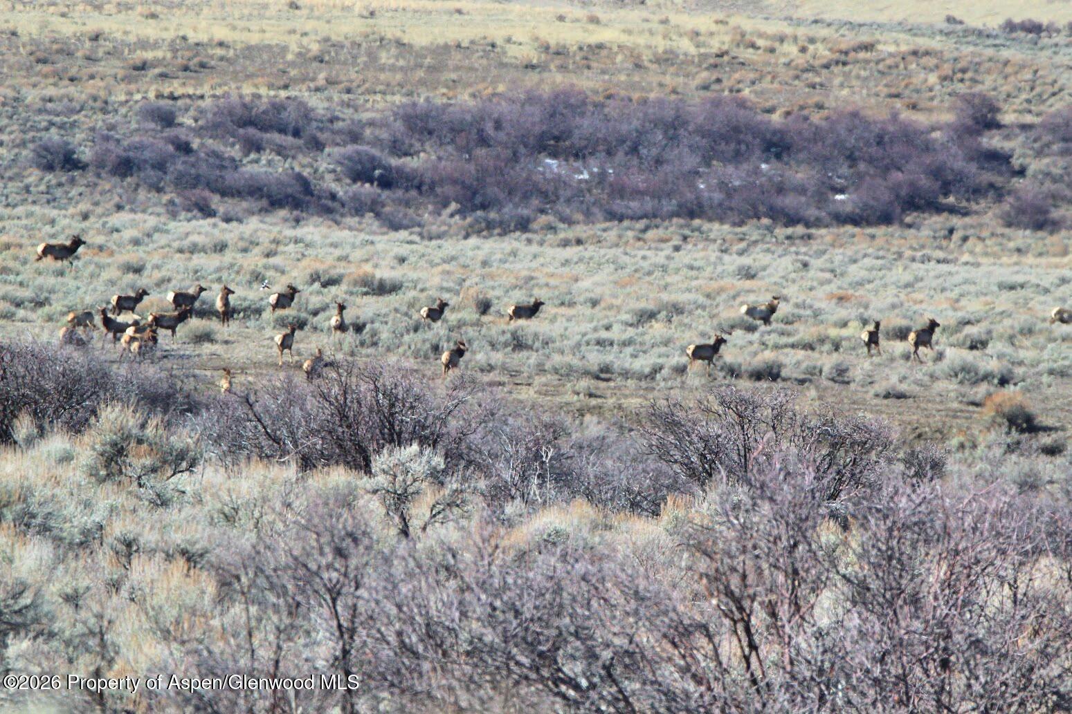 Tbd County Road 57 Property Photo 18
