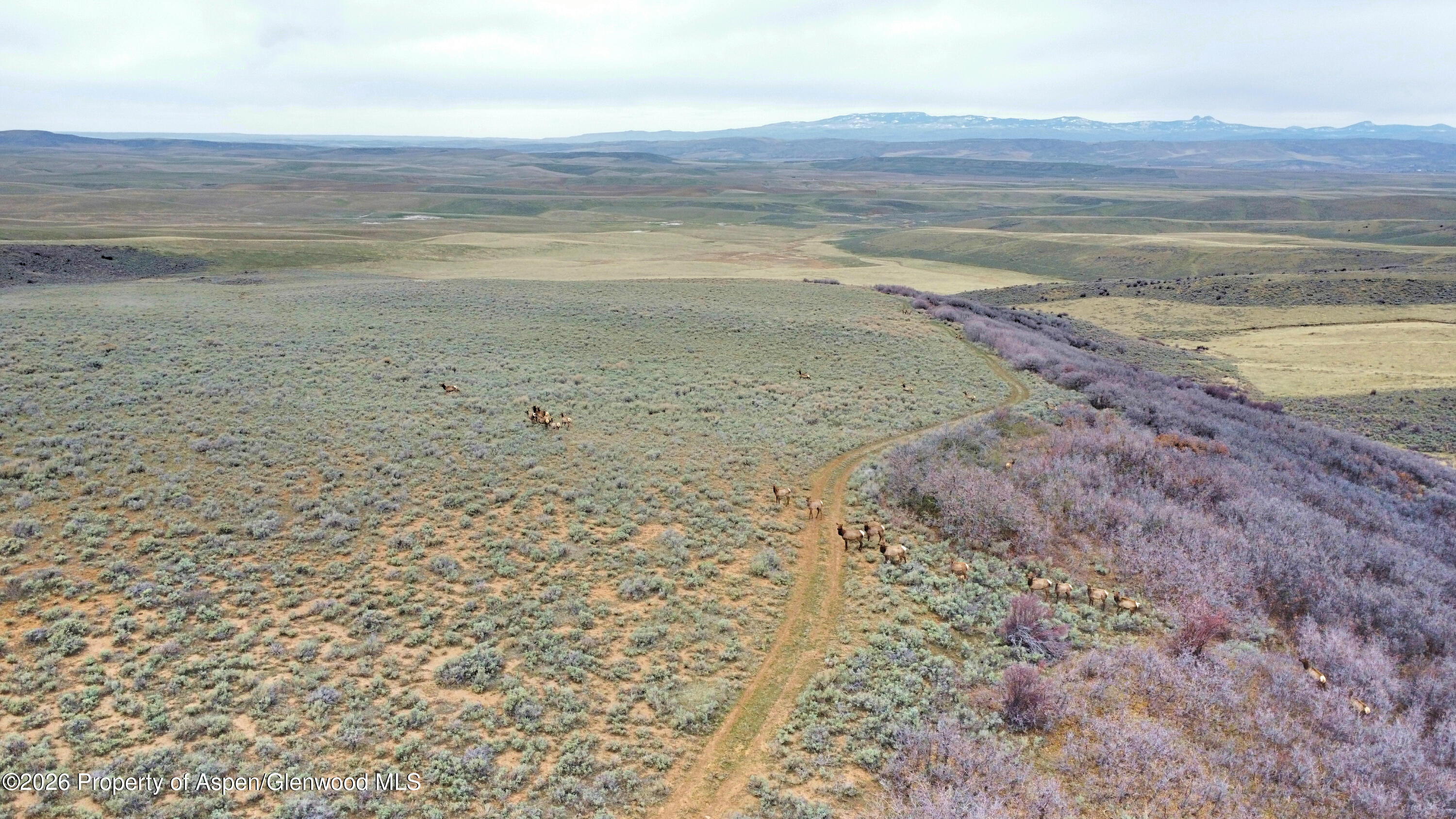 Tbd County Road 57 Property Photo 33