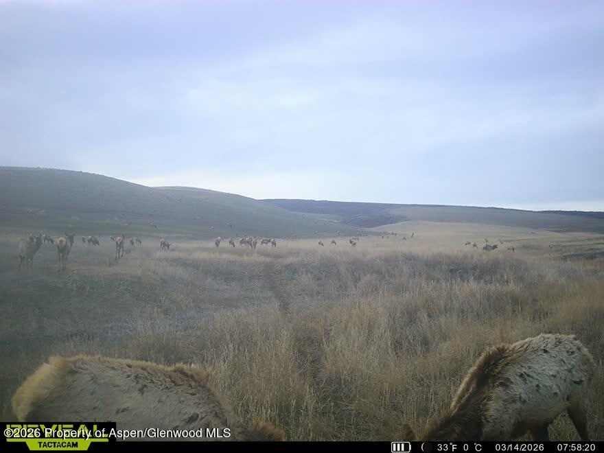 Tbd County Road 57 Property Photo 34