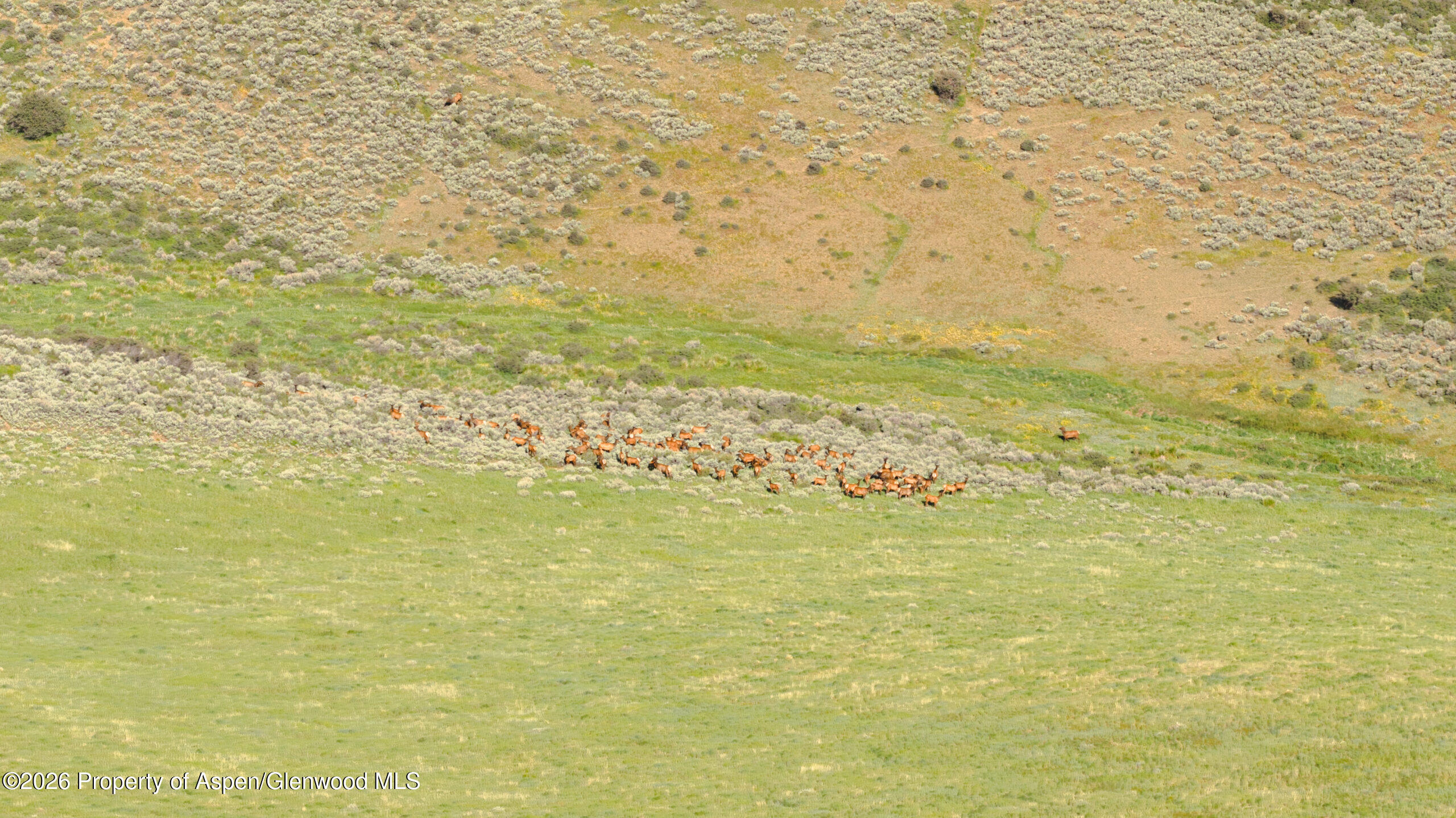 Tbd County Road 57 Property Photo 38