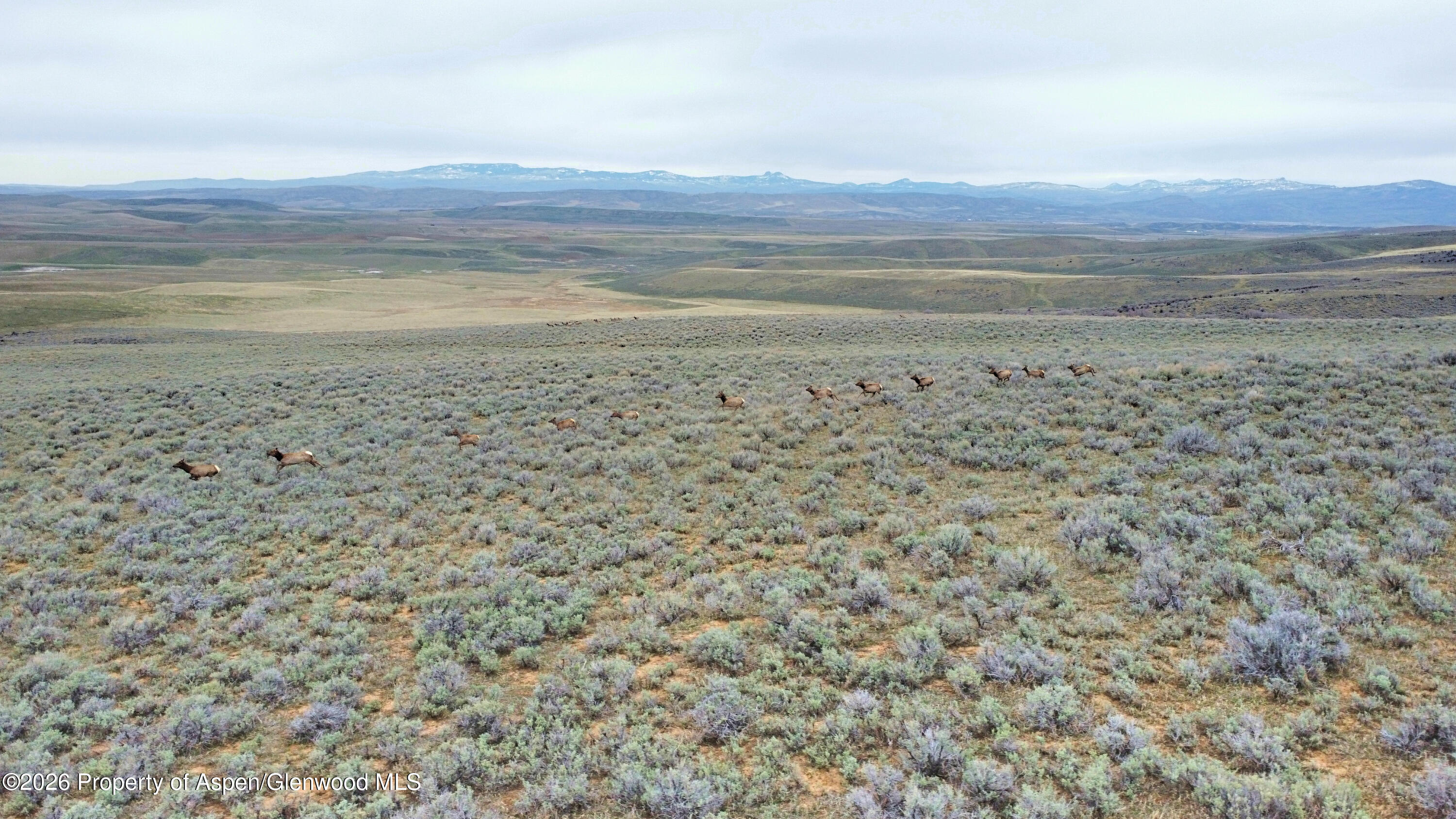Tbd County Road 57 Property Photo 39