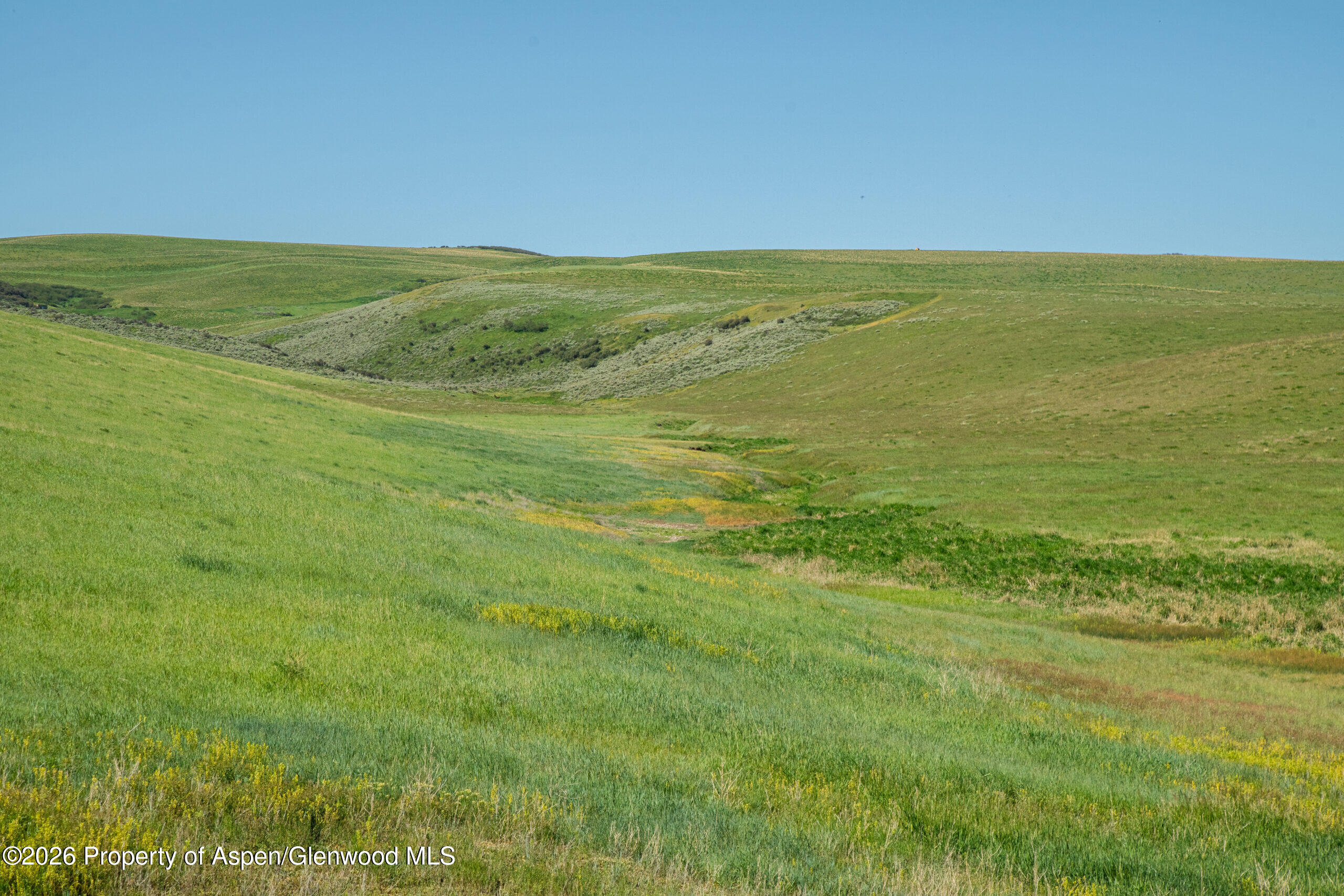 Tbd County Road 57 Property Photo 44