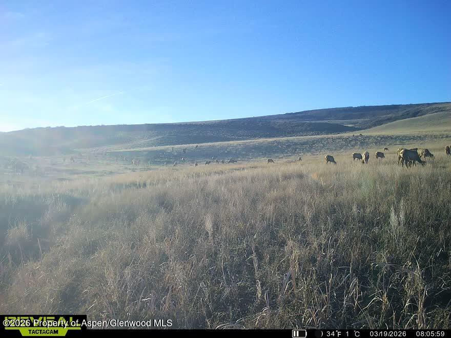 Tbd County Road 57 Property Photo 50