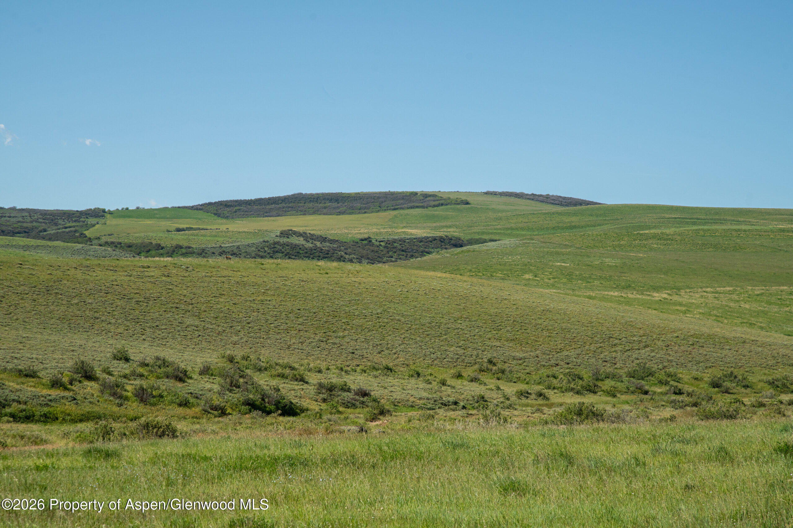Tbd County Road 57 Property Photo 61