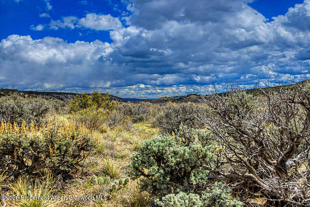 37801 Highway 318 Property Photo 1