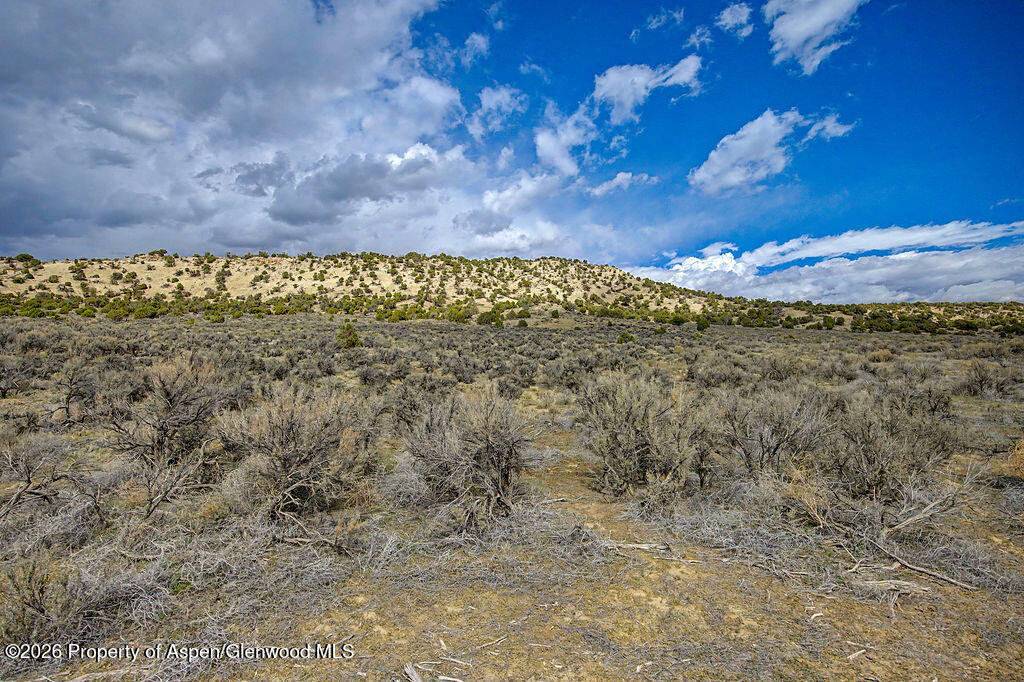 37801 Highway 318 Property Photo 3