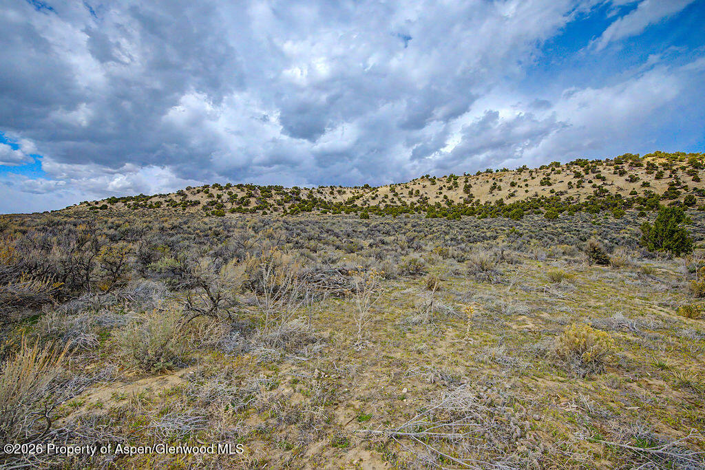 37801 Highway 318 Property Photo 6