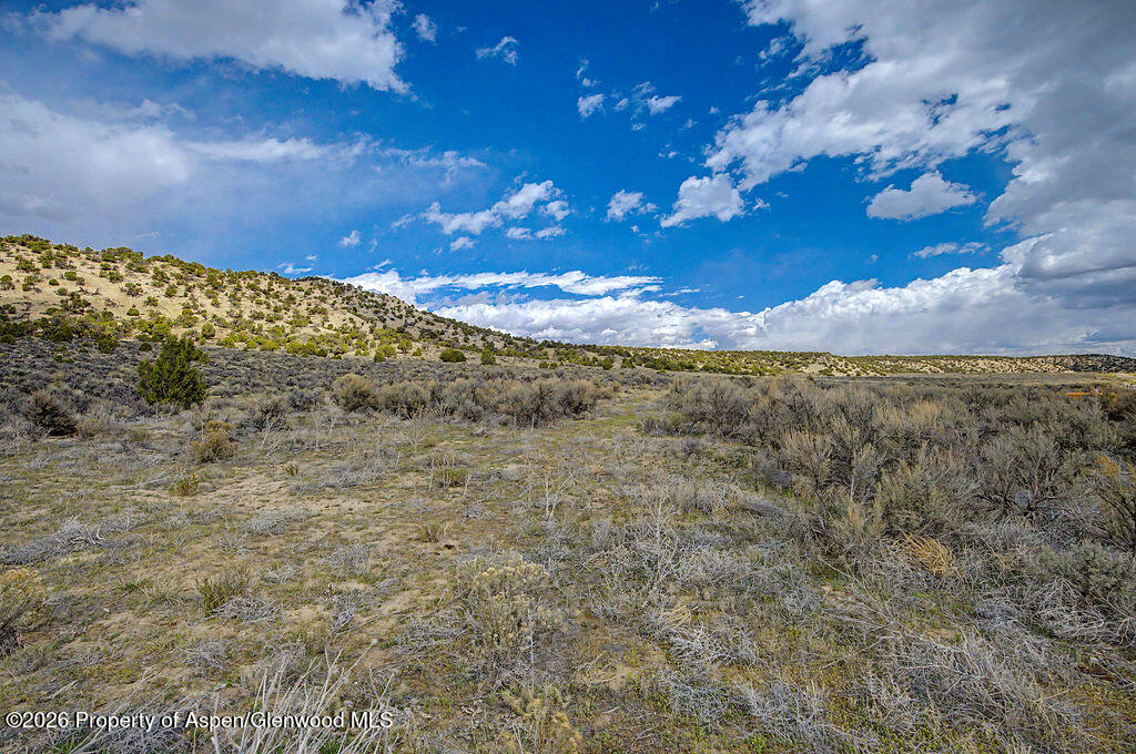 37801 Highway 318 Property Photo 7