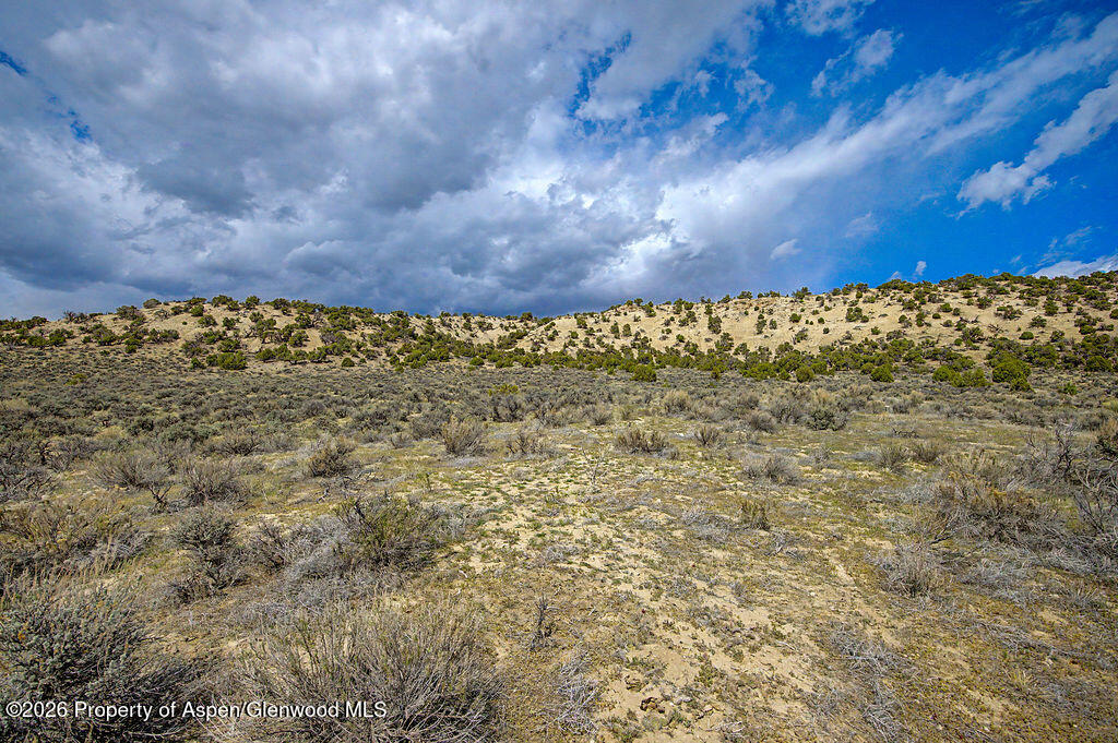 37801 Highway 318 Property Photo 9
