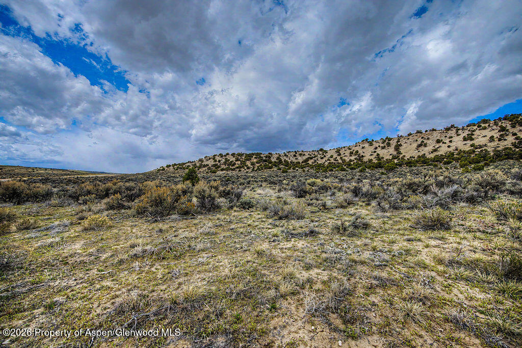 37801 Highway 318 Property Photo 10