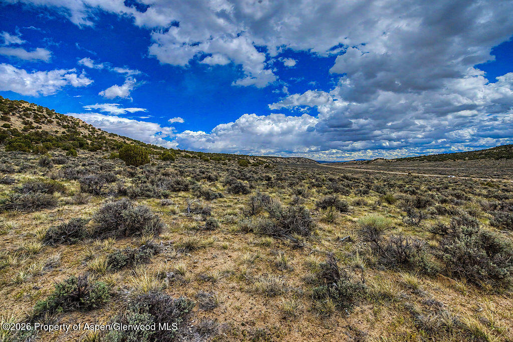 37801 Highway 318 Property Photo 11