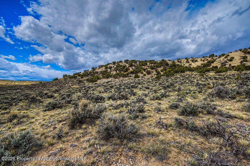 37801 Highway 318 Property Photo 12