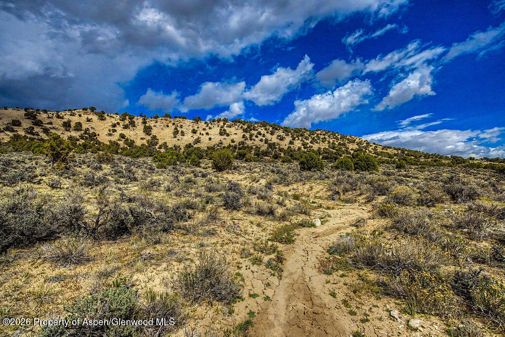 37801 Highway 318 Property Photo 14