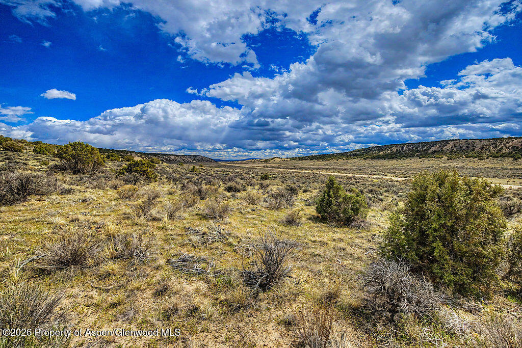 37801 Highway 318 Property Photo 15