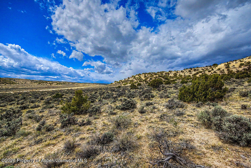 37801 Highway 318 Property Photo 16