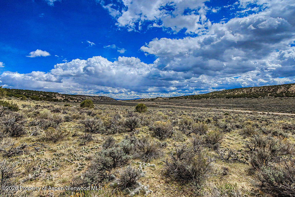 37801 Highway 318 Property Photo 17