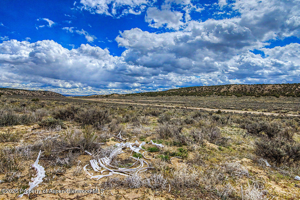 37801 Highway 318 Property Photo 18