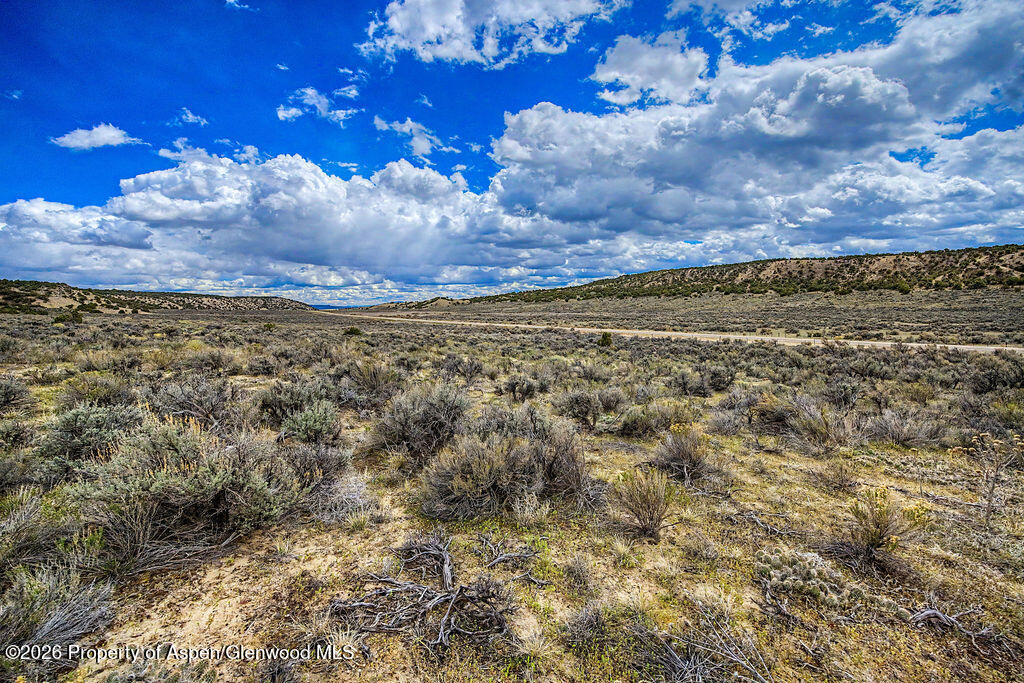 37801 Highway 318 Property Photo 19
