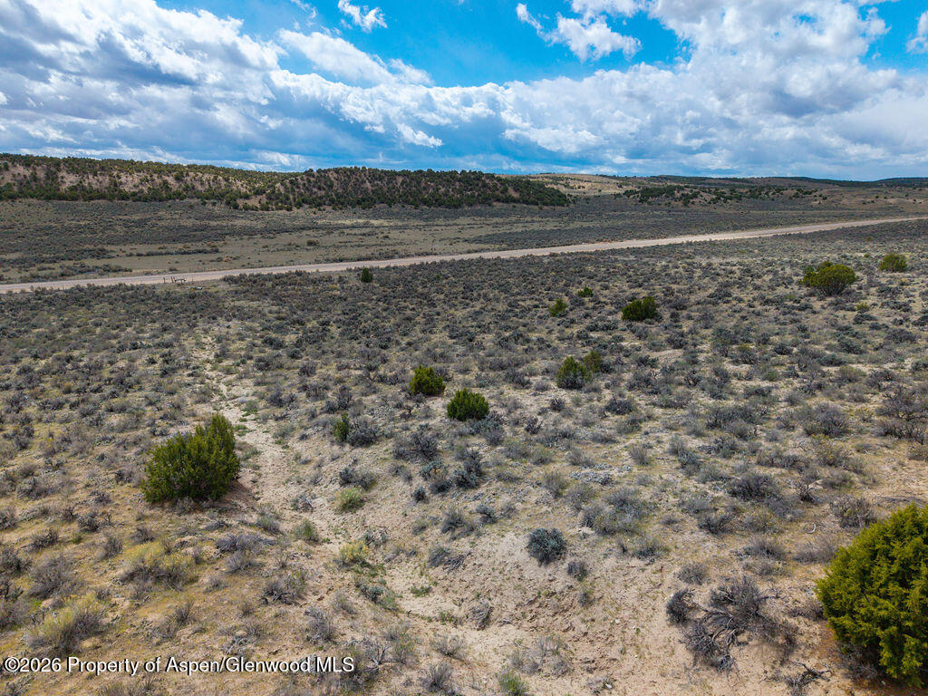 37801 Highway 318 Property Photo 22