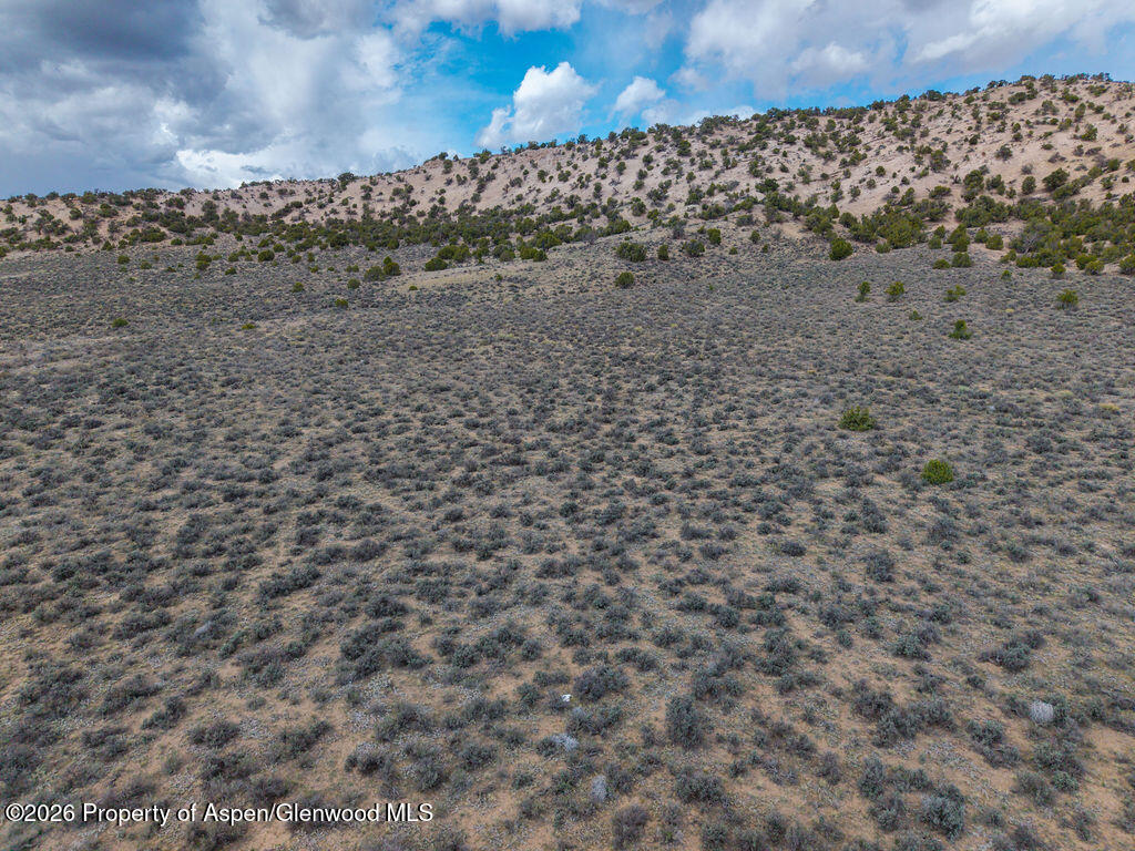 37801 Highway 318 Property Photo 28