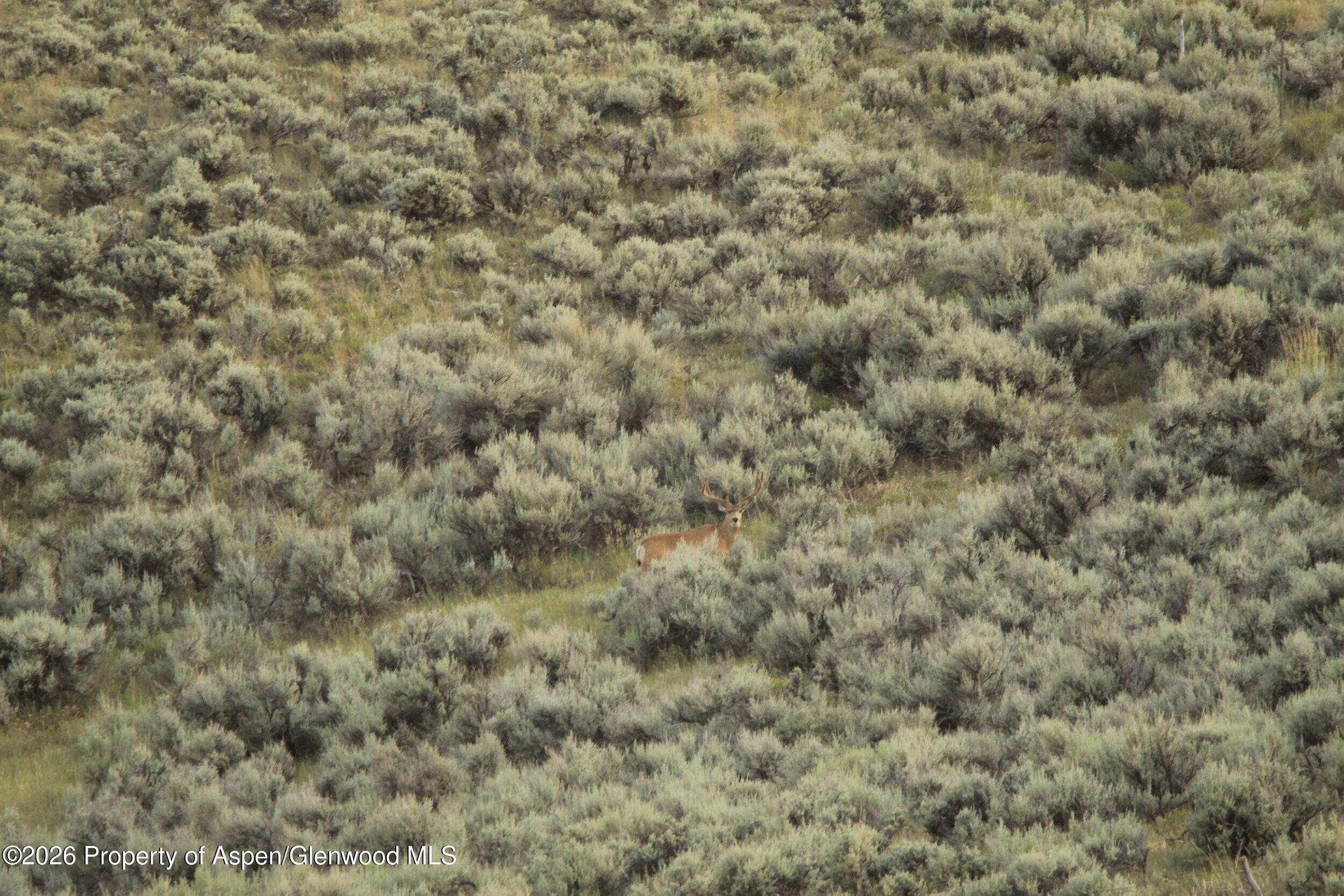 Tbd Highway 40 Property Photo 12