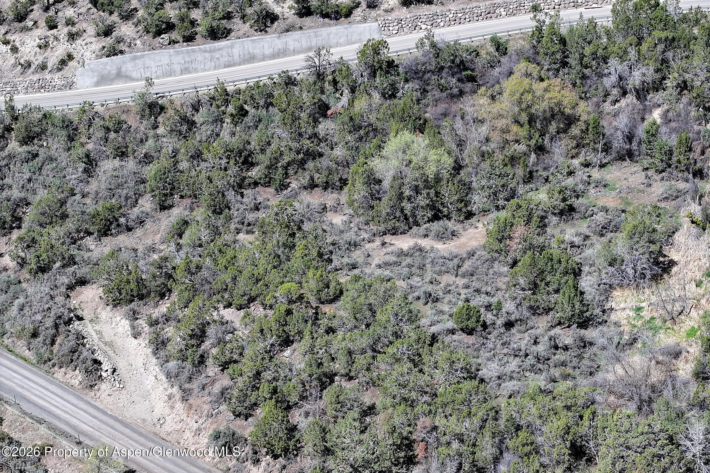 58450 Buzzard Creek Road Property Photo 4