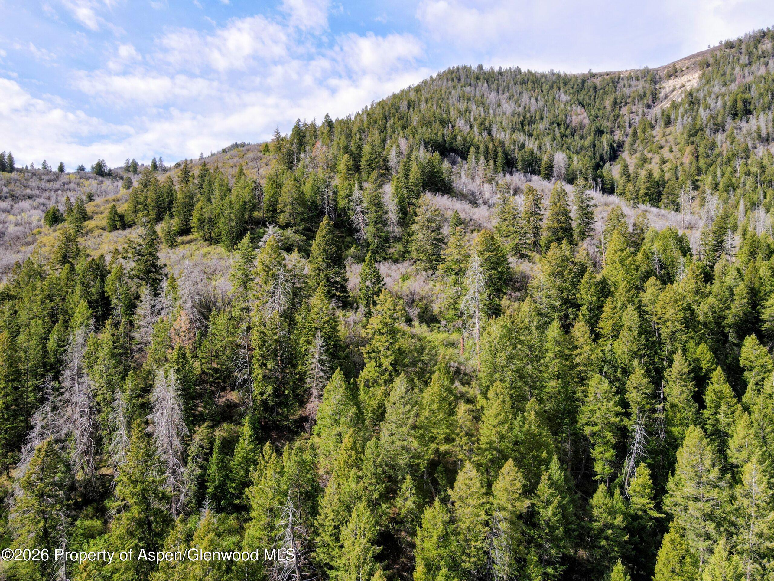 Tbd Highway 13 Property Photo 4