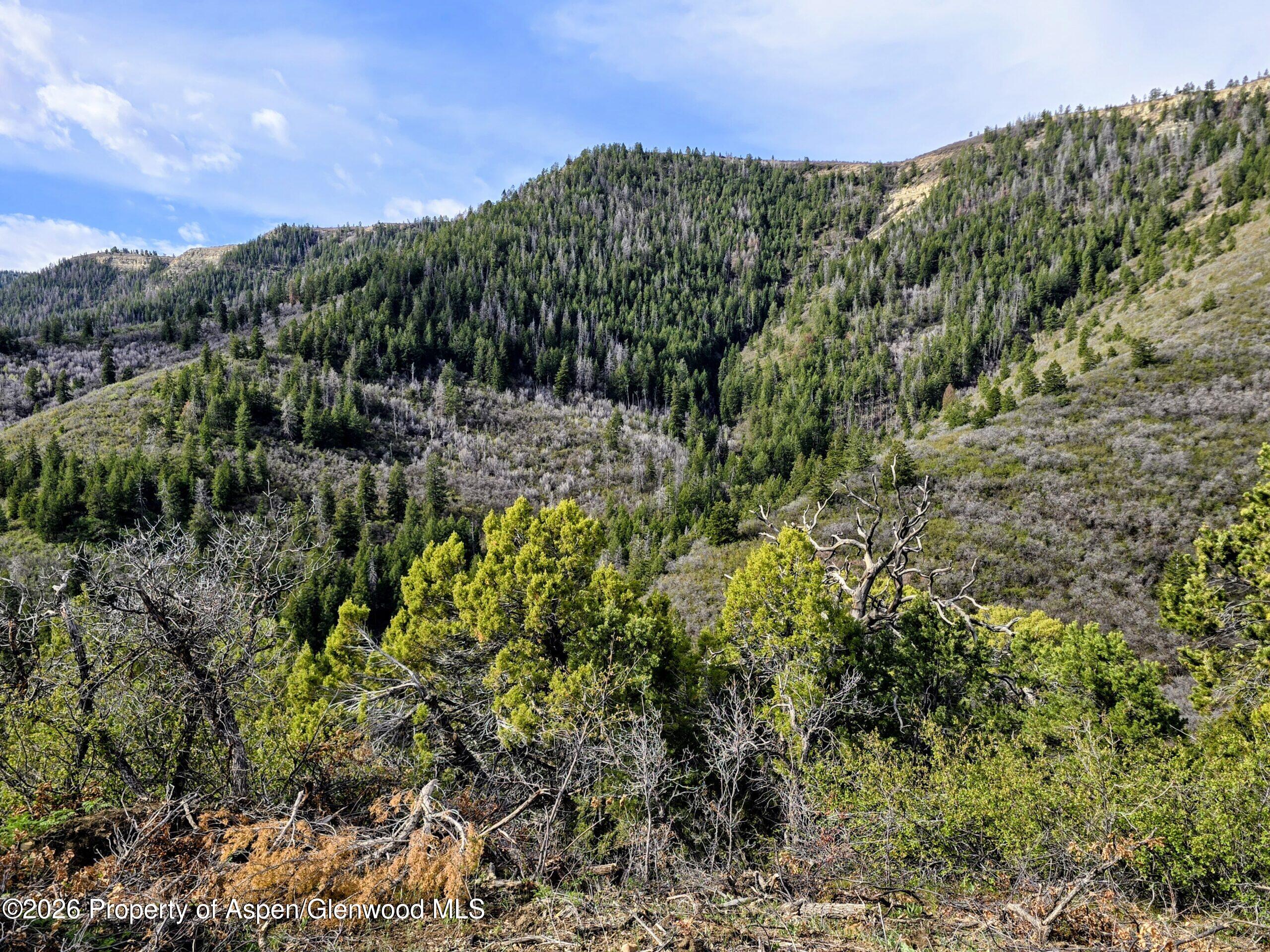 Tbd Highway 13 Property Photo 6
