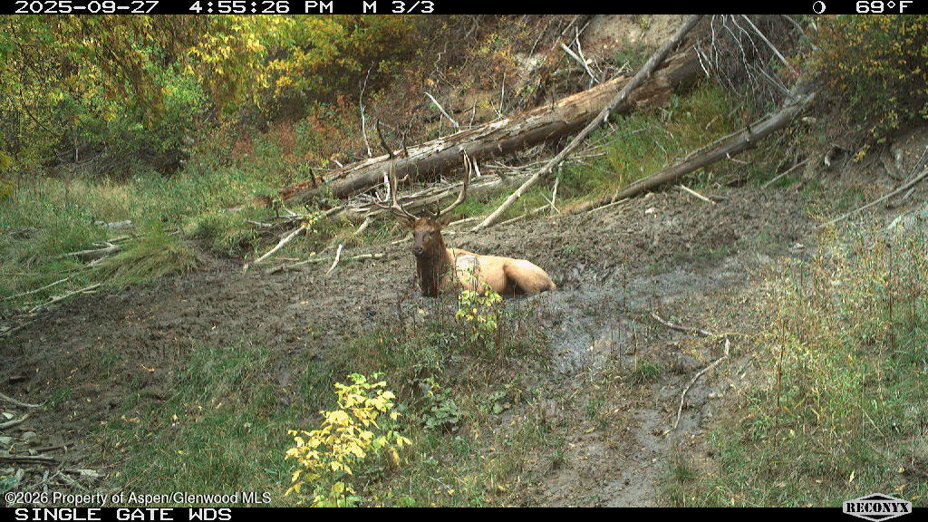 Tbd Highway 13 Property Photo 7