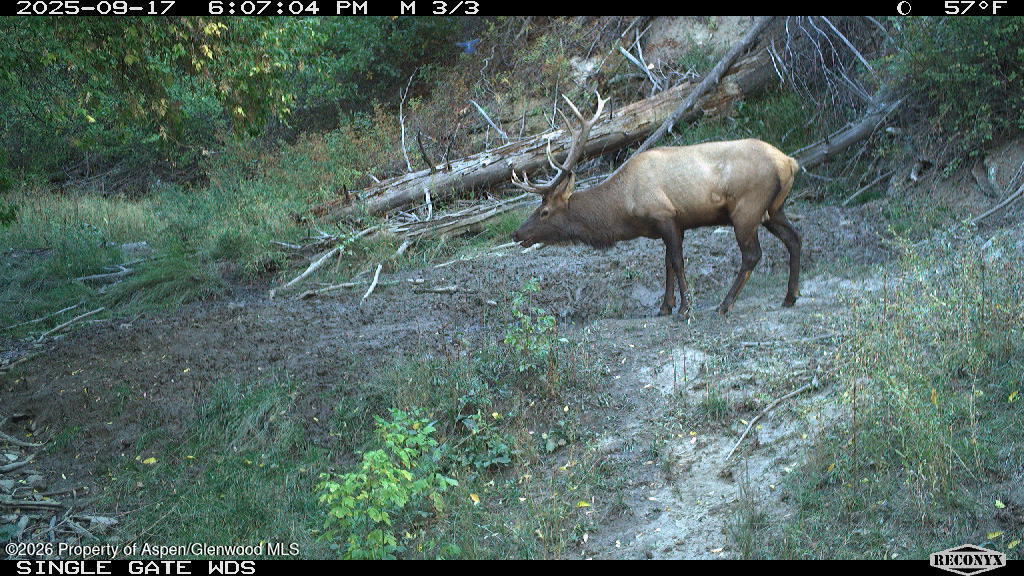 Tbd Highway 13 Property Photo 9